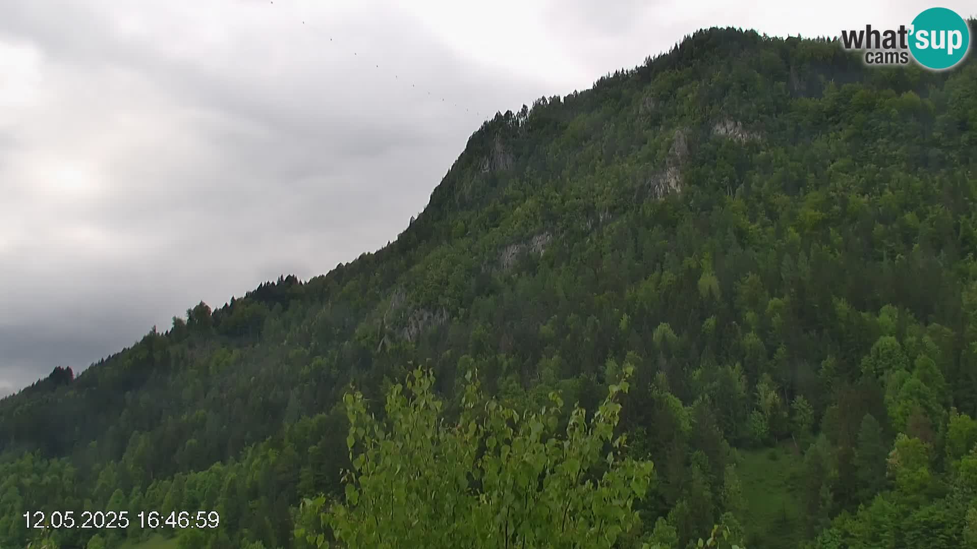 Črna na Koroškem ski slope | Koroška | Slovenia