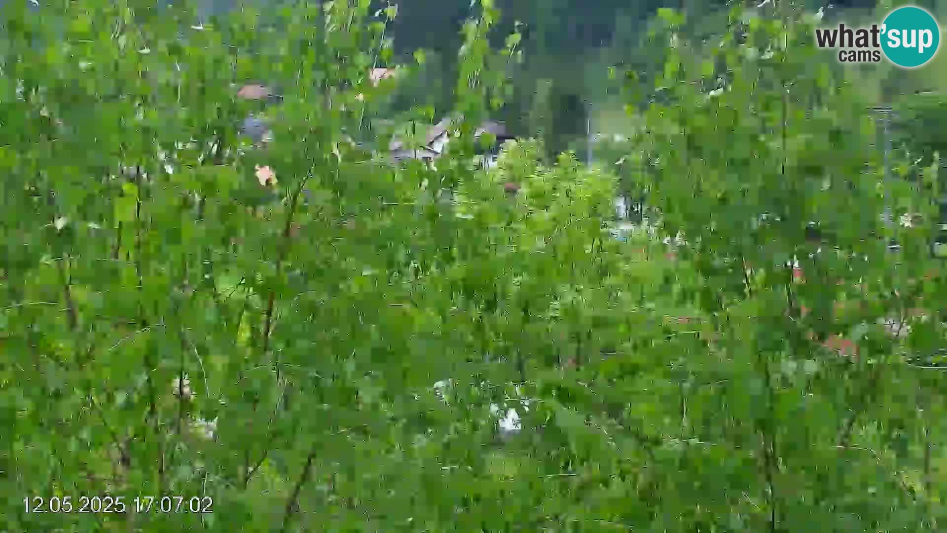 Pista de esquí de Črna na Koroška | Carintia | Eslovenia