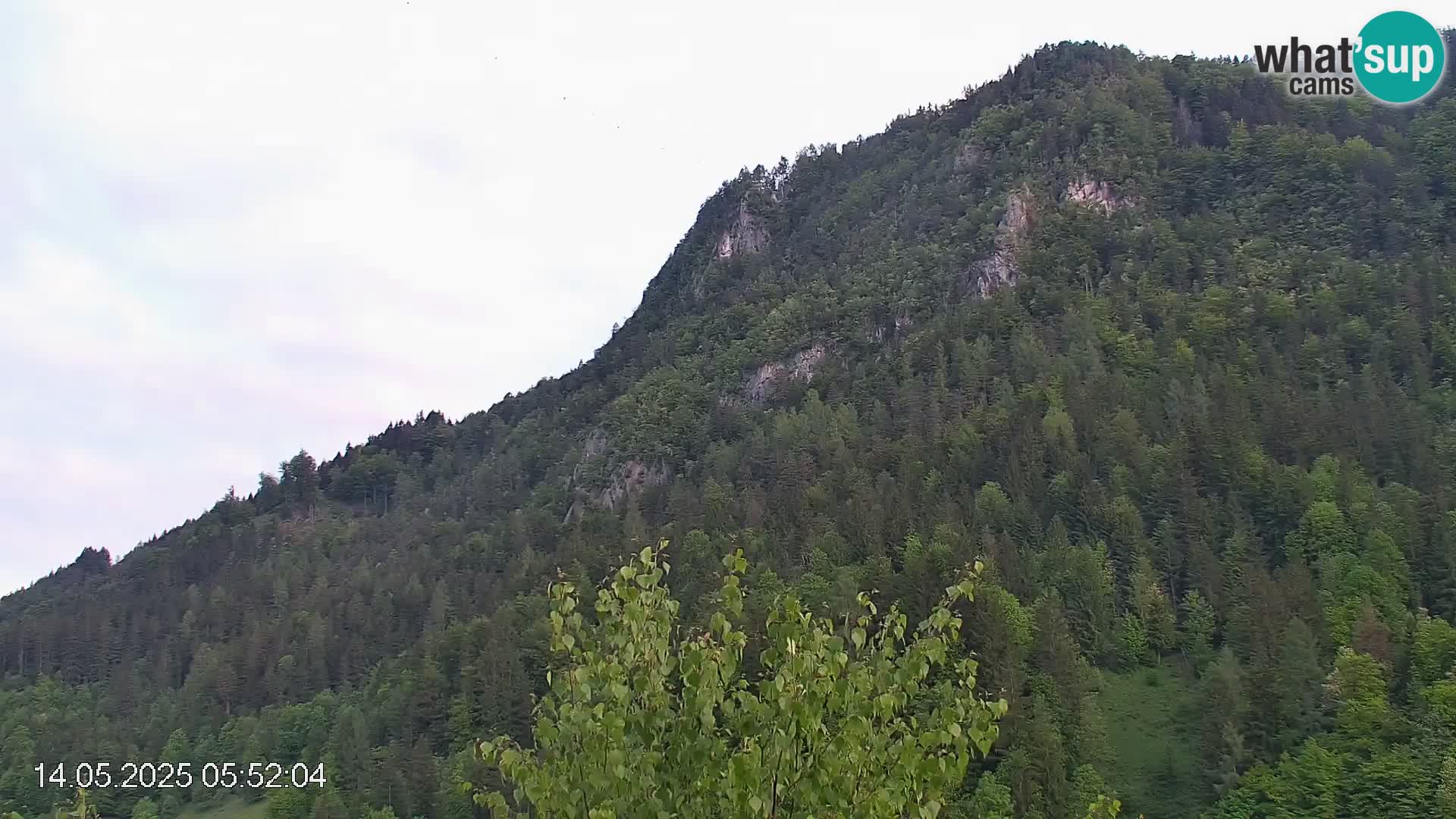 Pista de esquí de Črna na Koroška | Carintia | Eslovenia