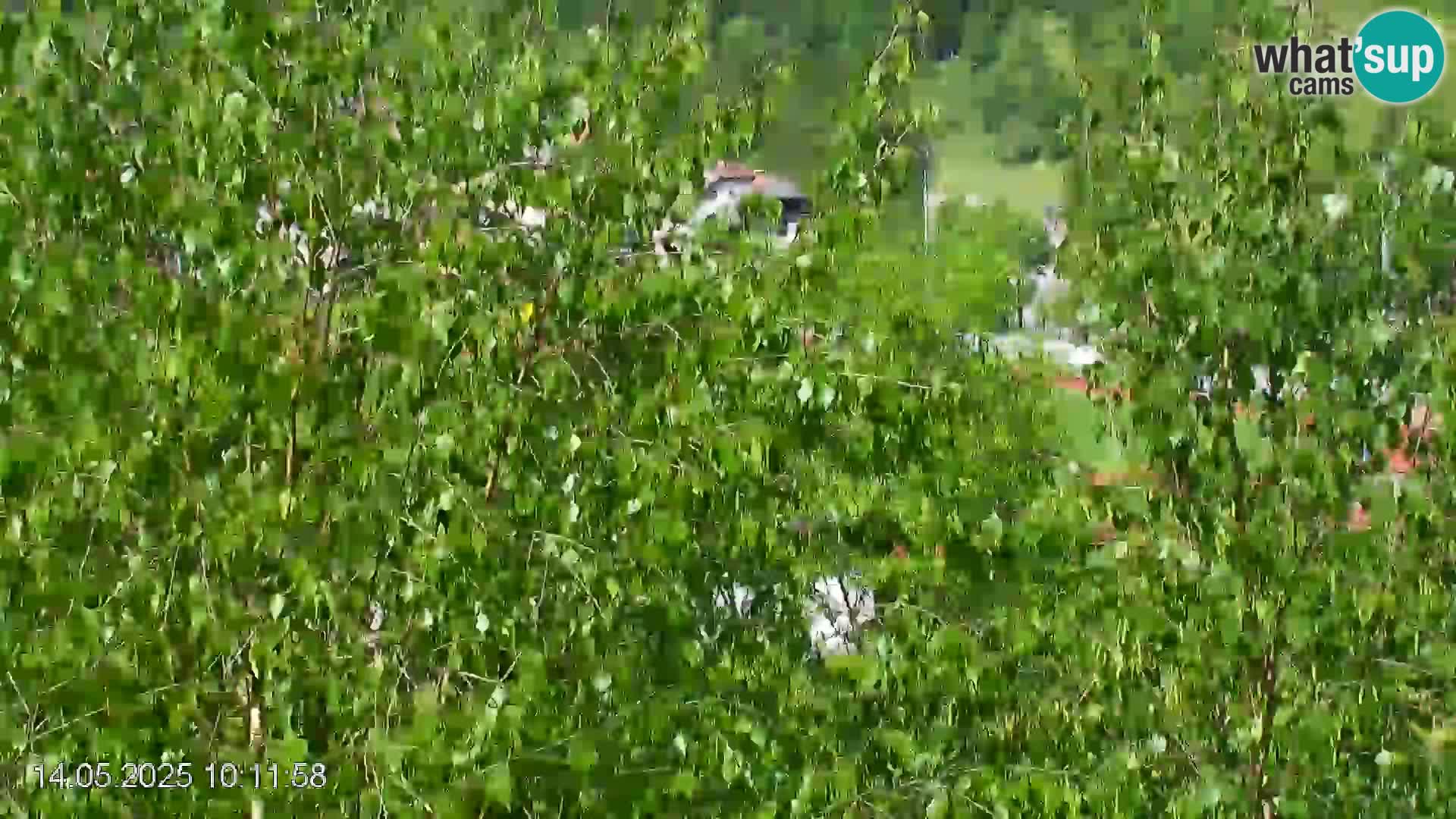 Pista de esquí de Črna na Koroška | Carintia | Eslovenia