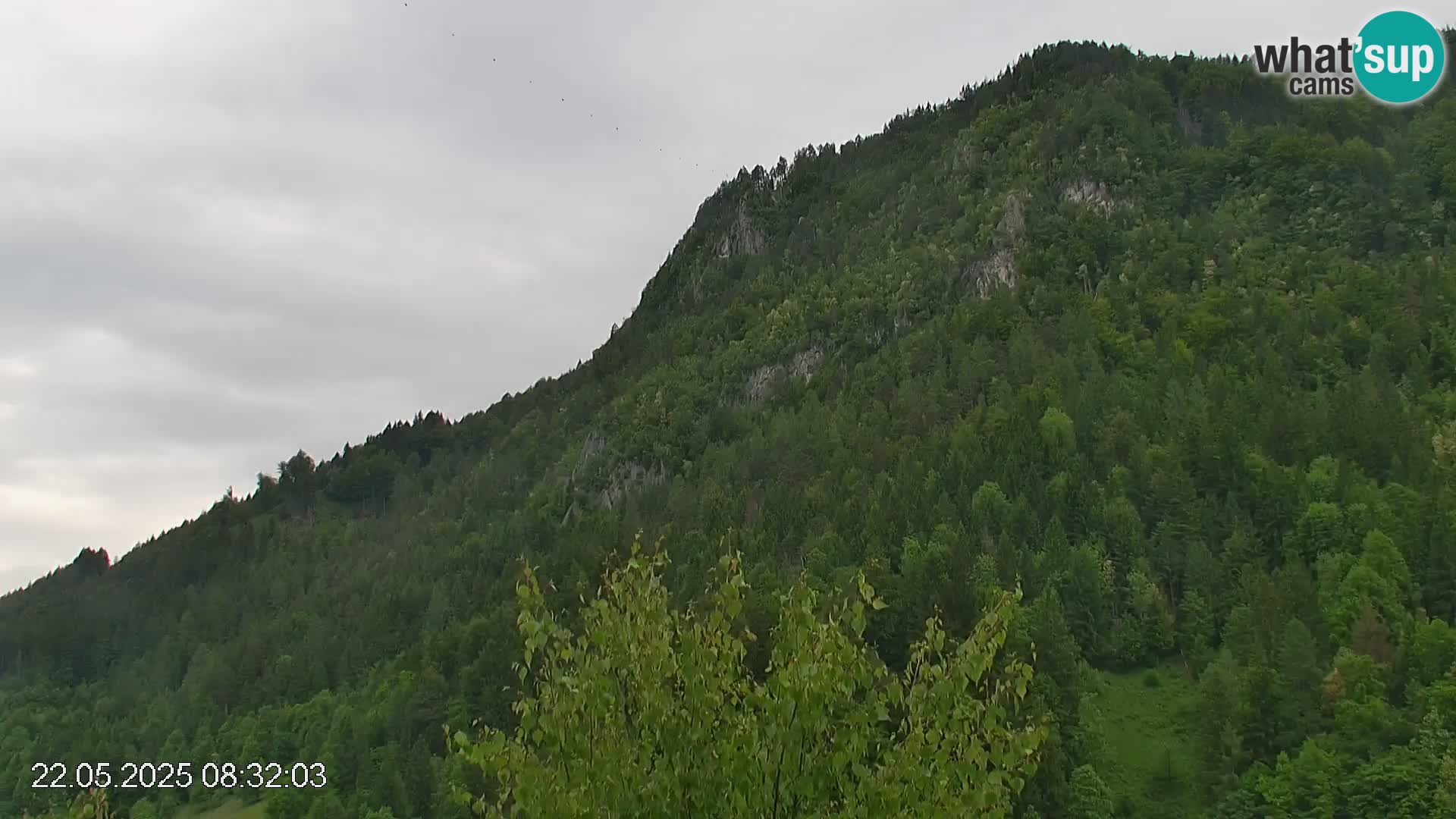 Stazione sciistica Črna na Koroškem | Carinzia | Slovenia