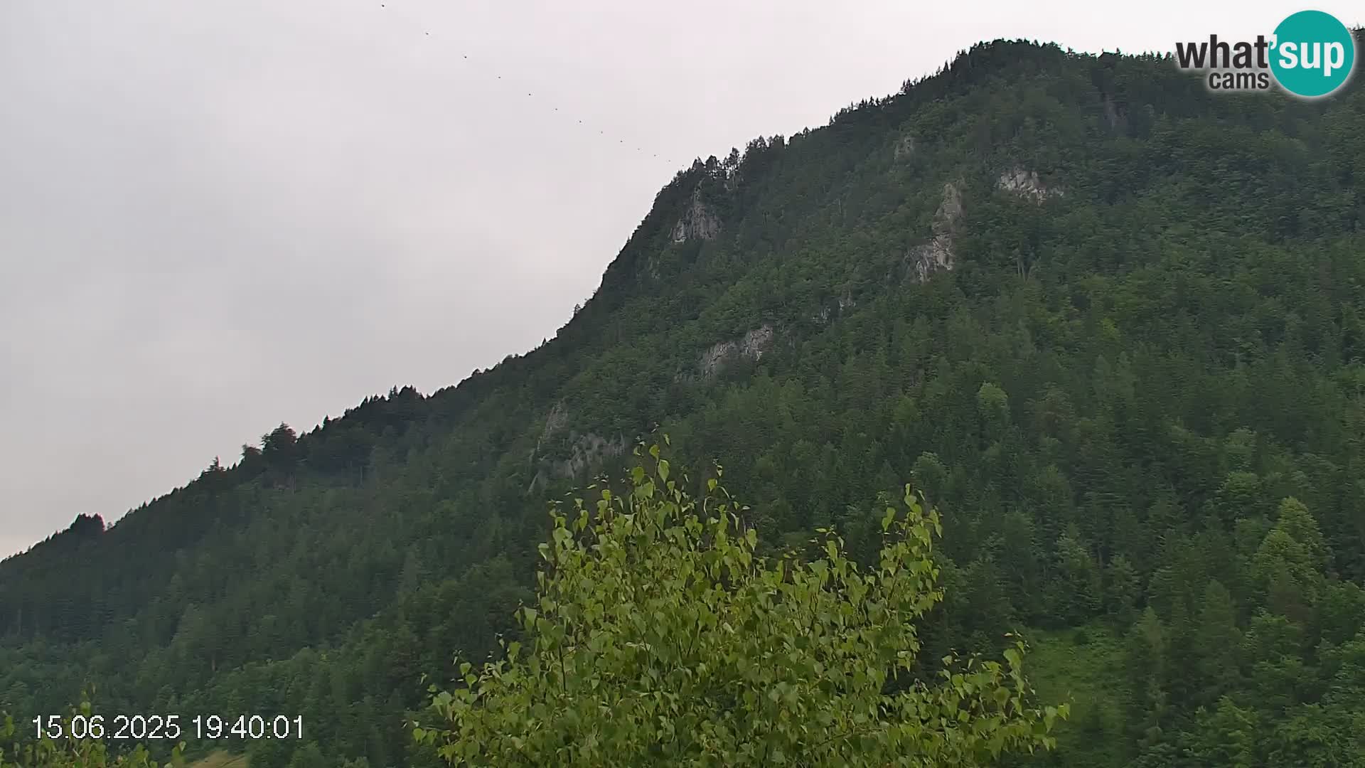 Črna na Koroškem ski slope | Koroška | Slovenia