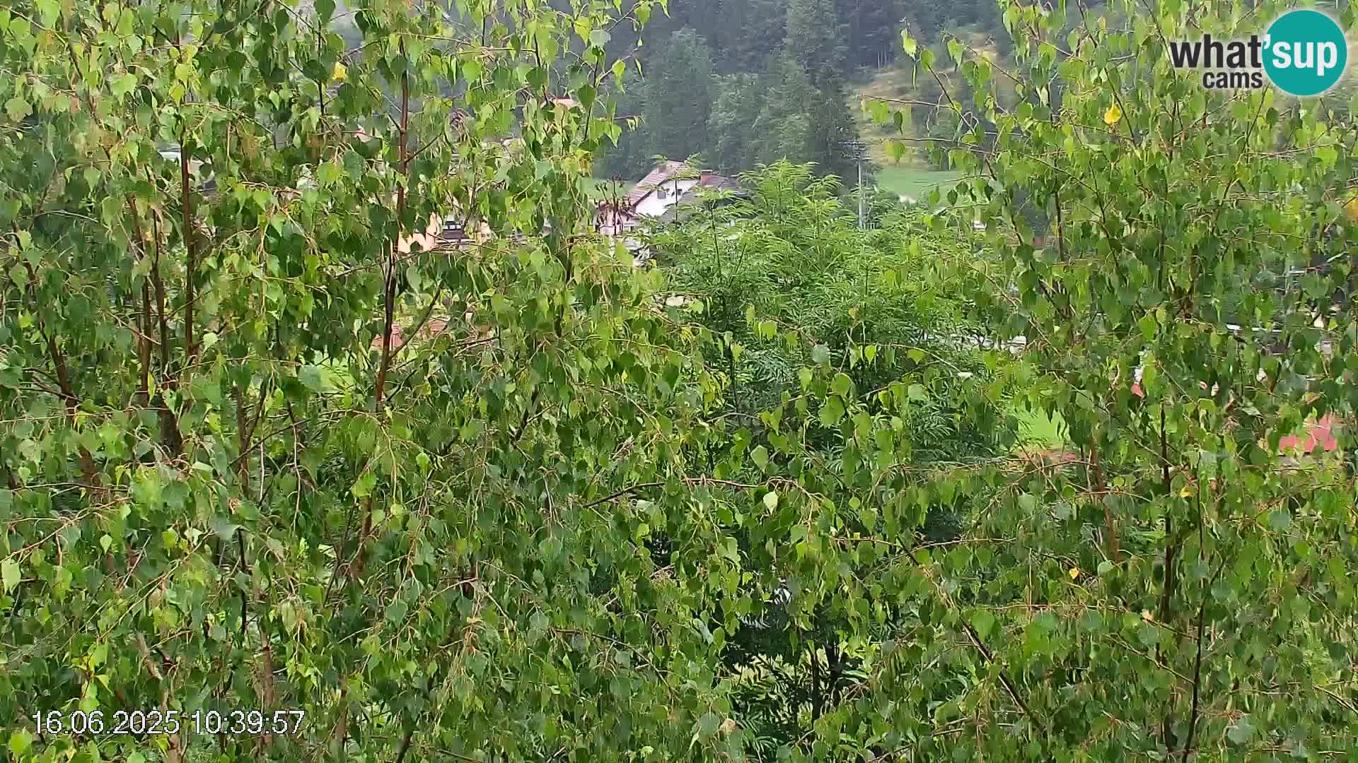 Črna na Koroškem ski slope | Koroška | Slovenia