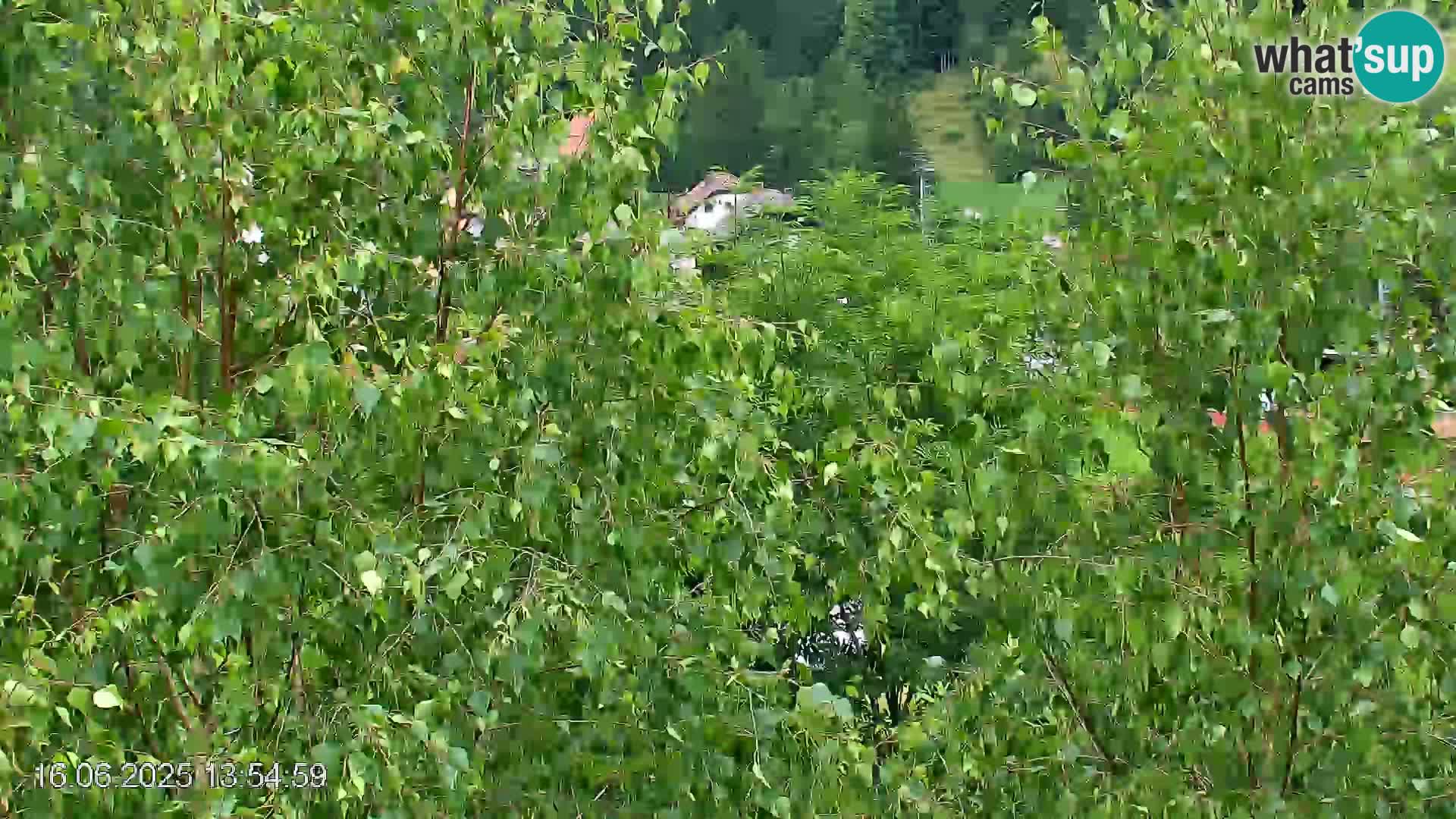 Smučišče Črna na Koroškem | Koroška | Slovenija
