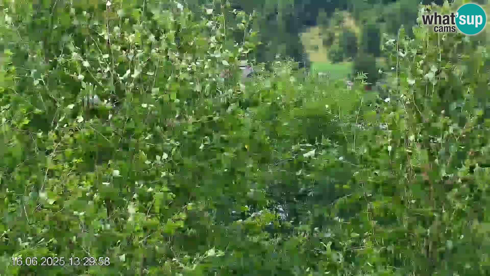 Skijalište Črna na Koroškoj | Koruška | Slovenija