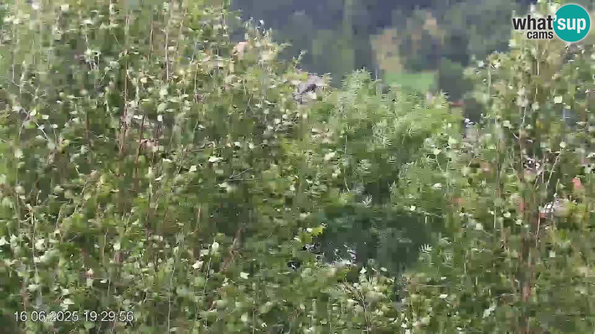 Pista de esquí de Črna na Koroška | Carintia | Eslovenia