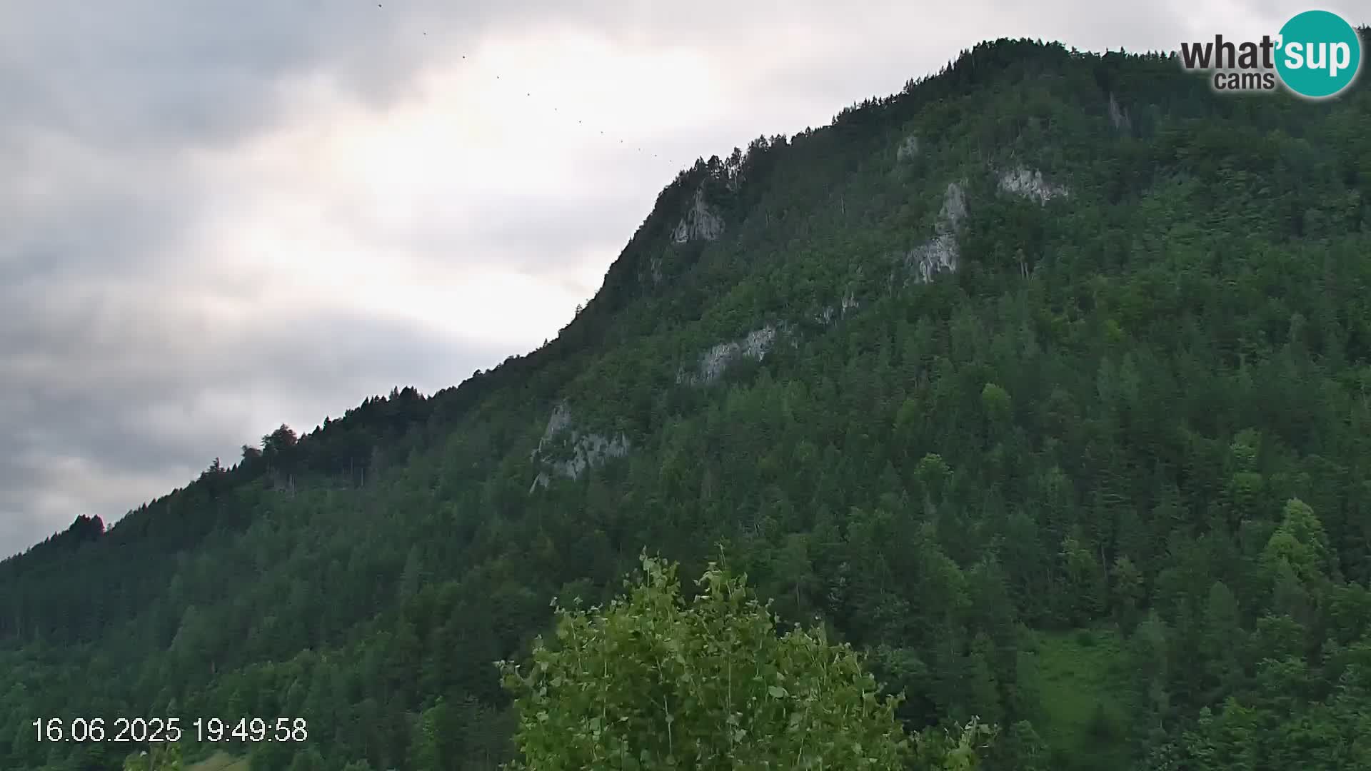 Pista de esquí de Črna na Koroška | Carintia | Eslovenia