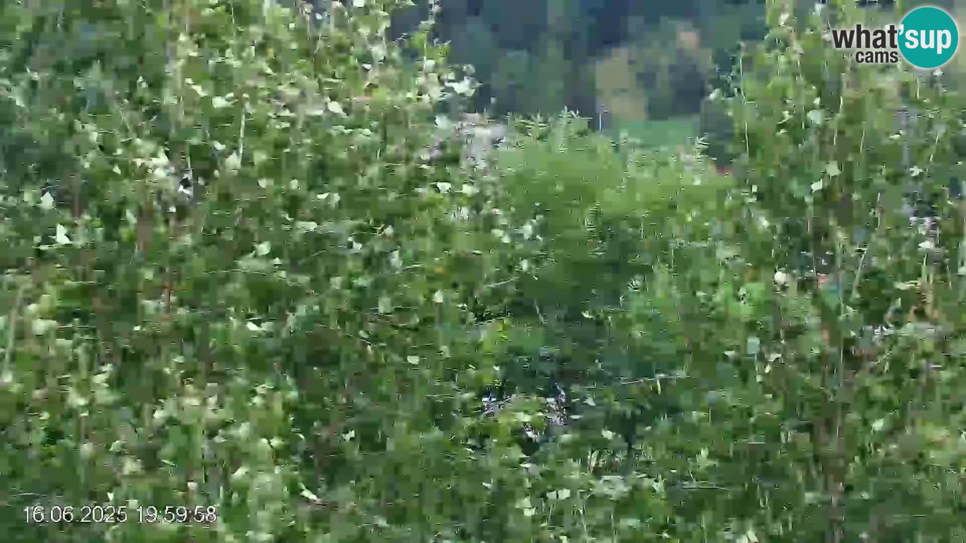 Pista de esquí de Črna na Koroška | Carintia | Eslovenia