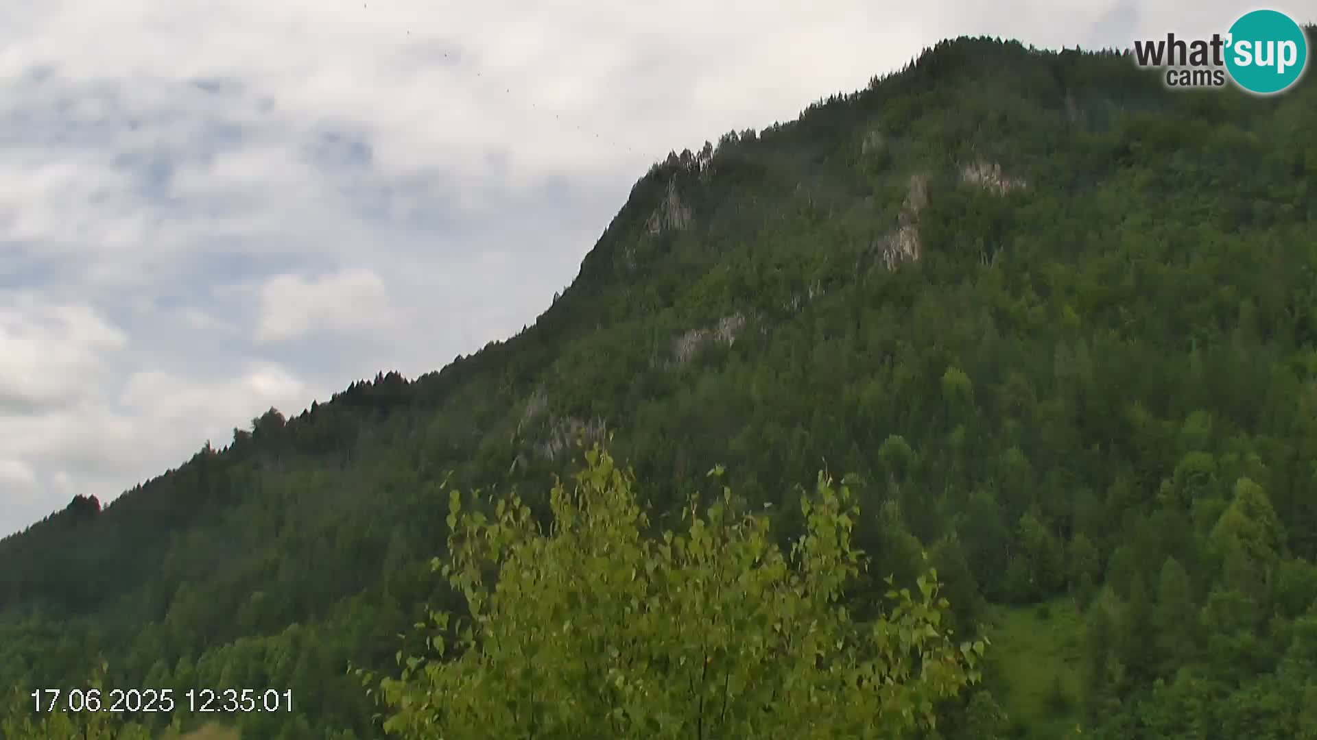 Črna na Koroškem ski slope | Koroška | Slovenia