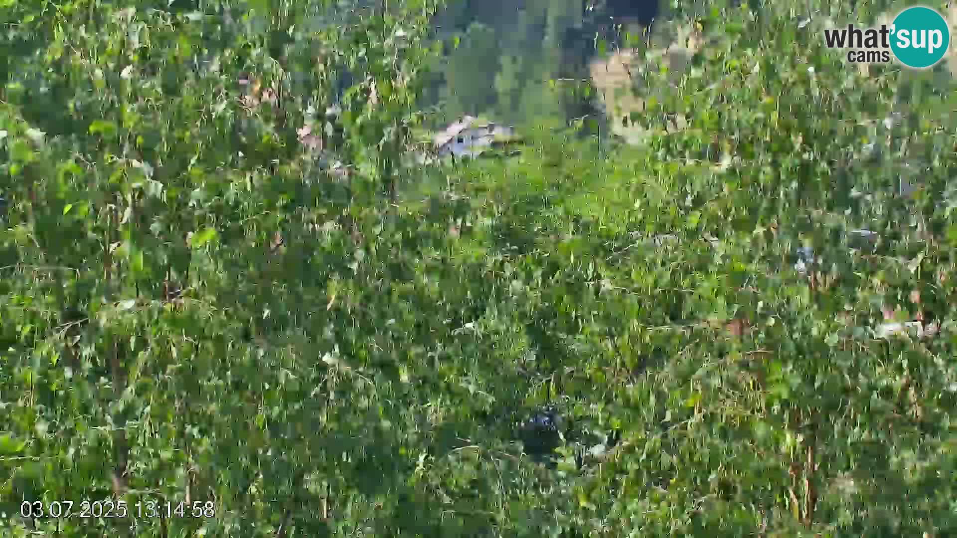 Črna na Koroškem ski slope | Koroška | Slovenia