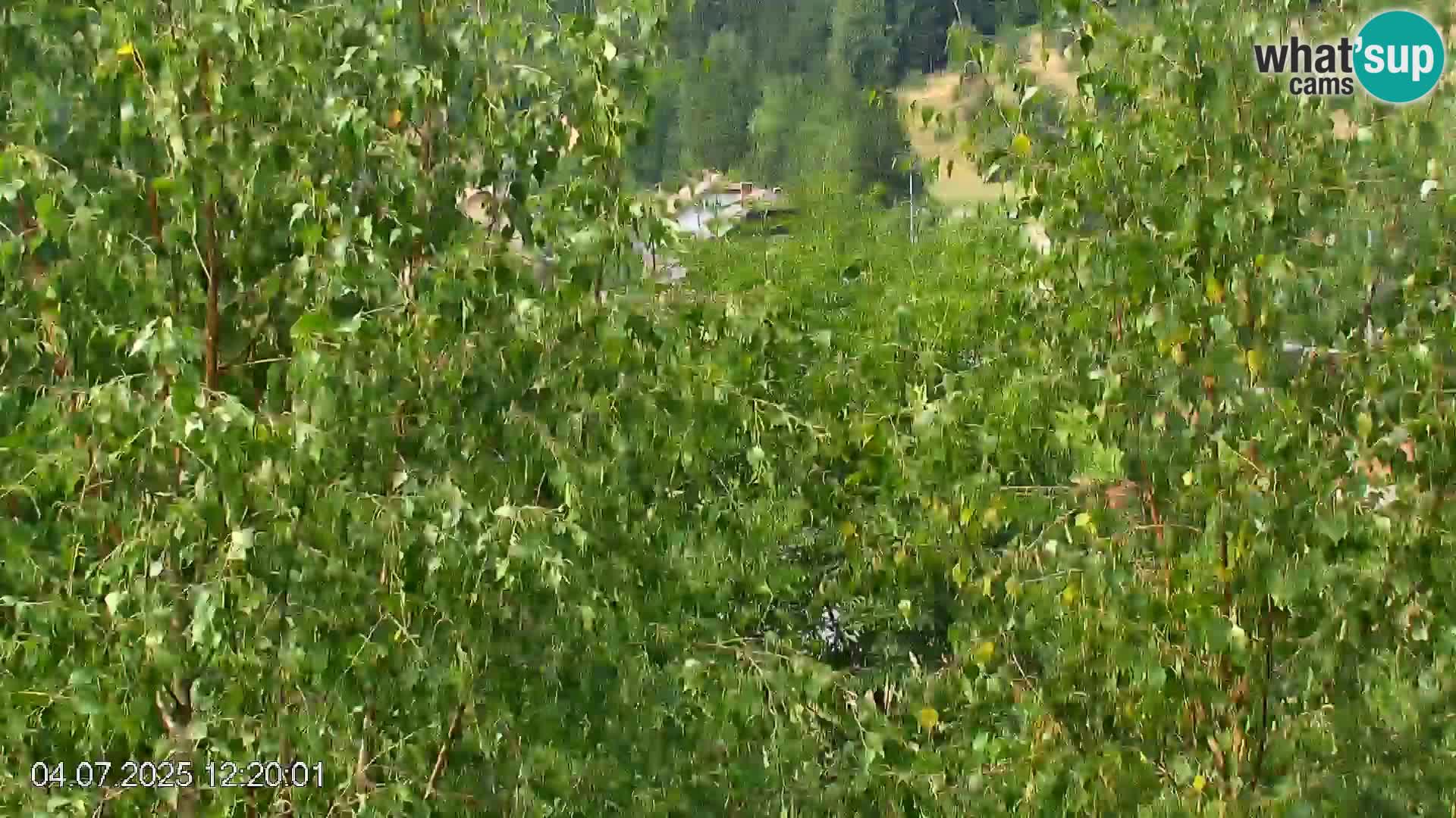 Piste de ski Črna na Koroška | Carinthie | Slovénie