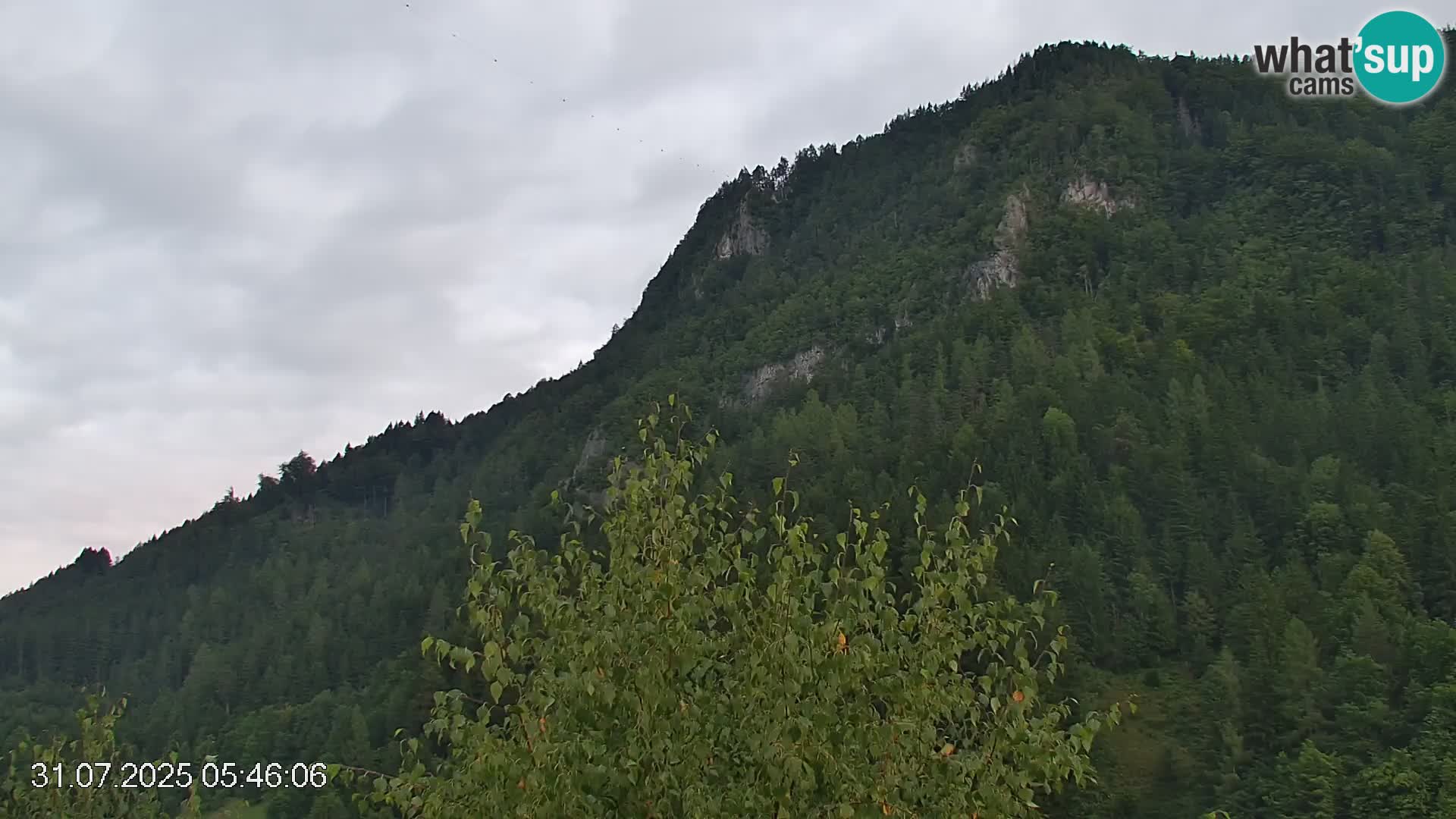 Piste de ski Črna na Koroška | Carinthie | Slovénie