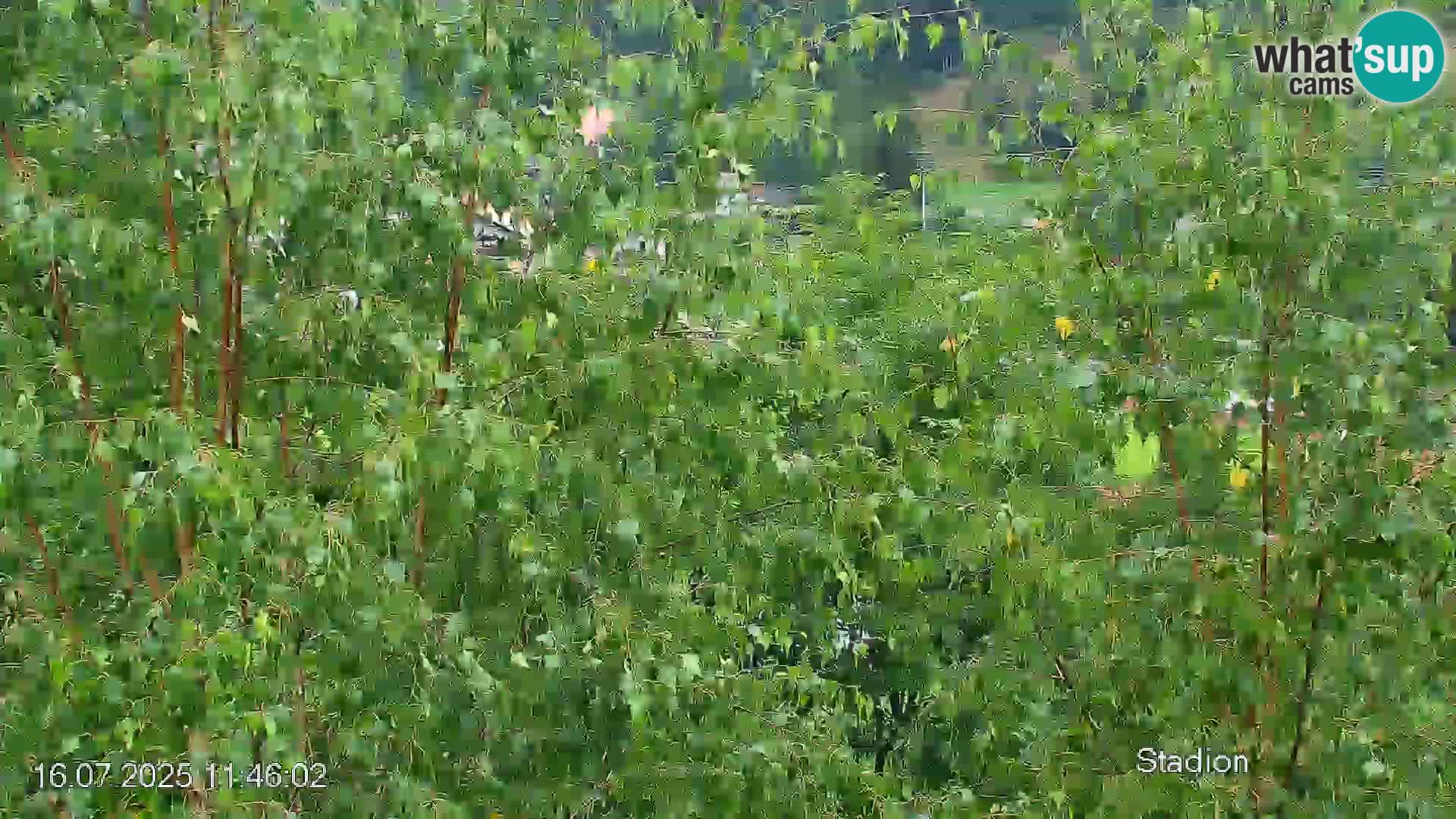 Pista de esquí de Črna na Koroška | Carintia | Eslovenia