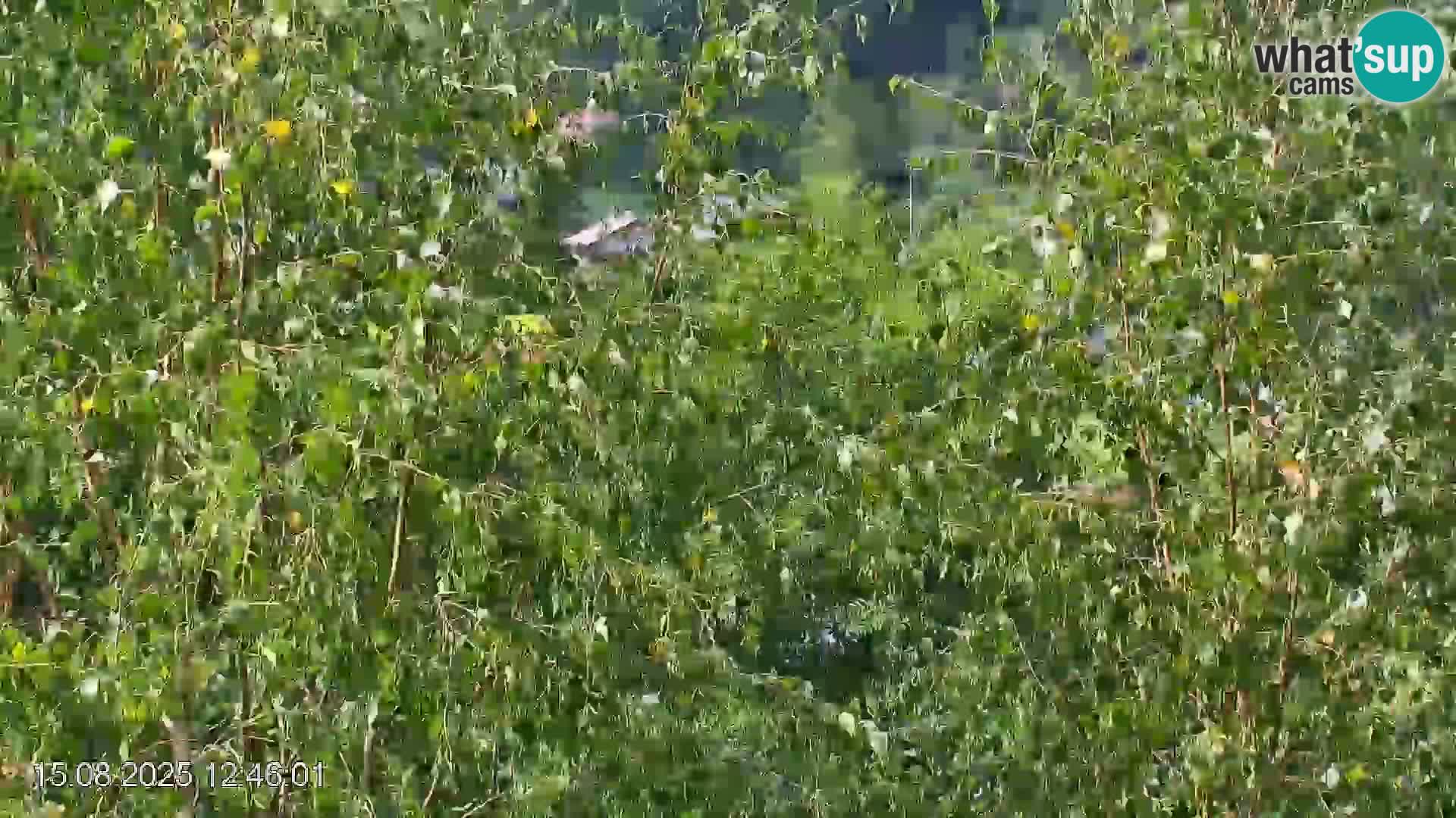 Skijalište Črna na Koroškoj | Koruška | Slovenija