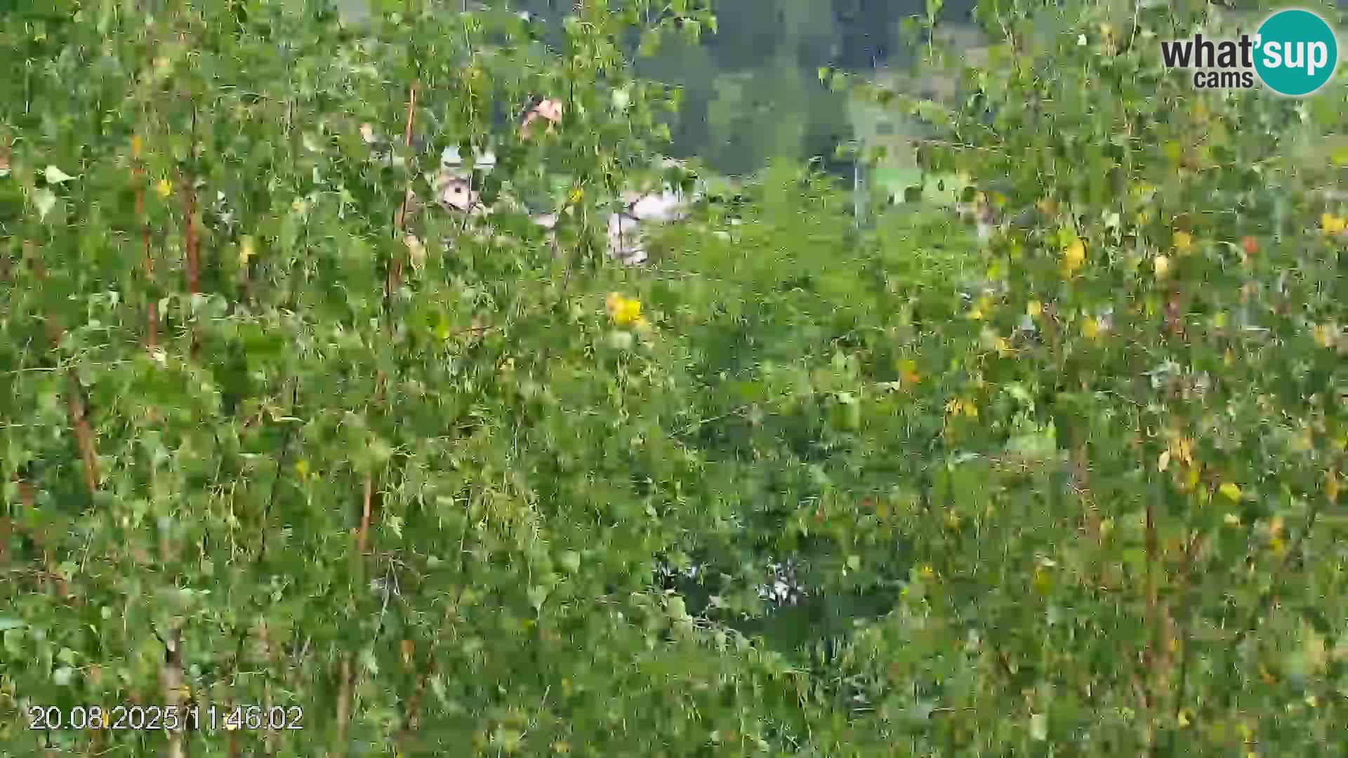 Skipiste Črna na Koroška | Kärnten | Slowenien