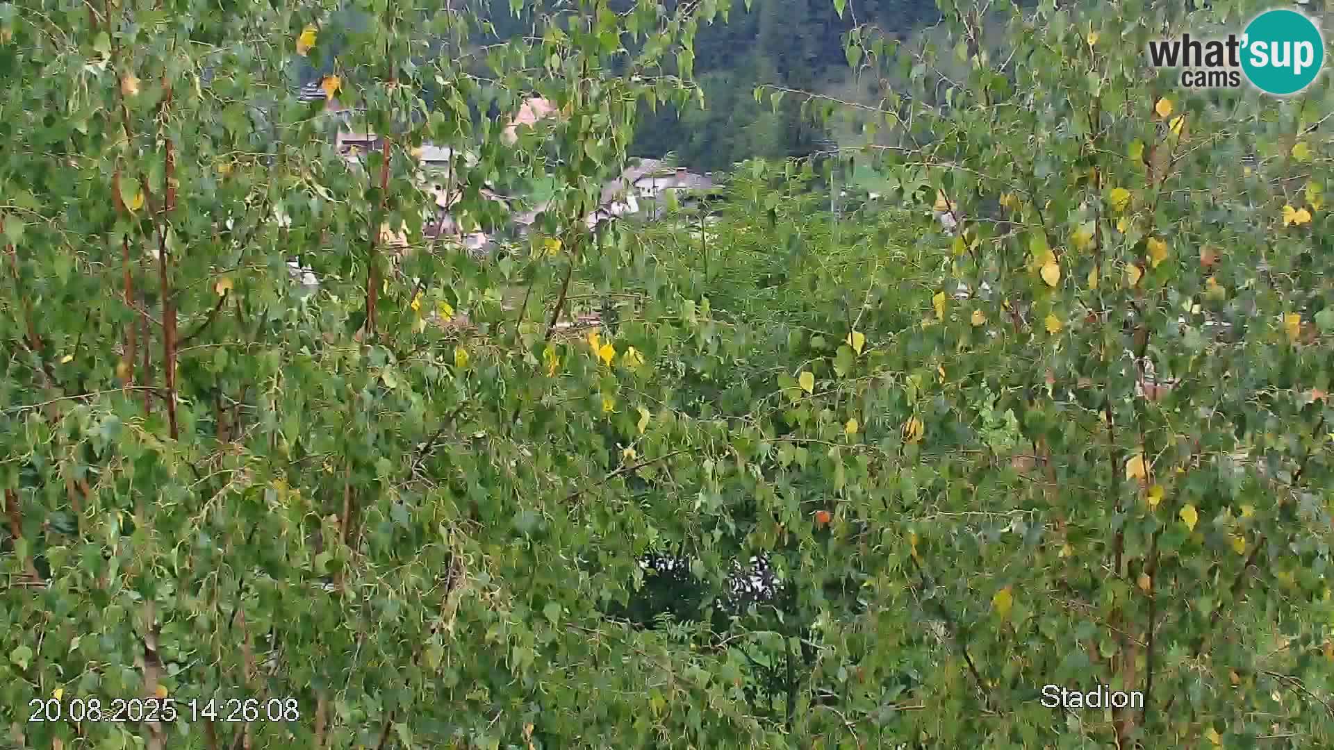 Piste de ski Črna na Koroška | Carinthie | Slovénie