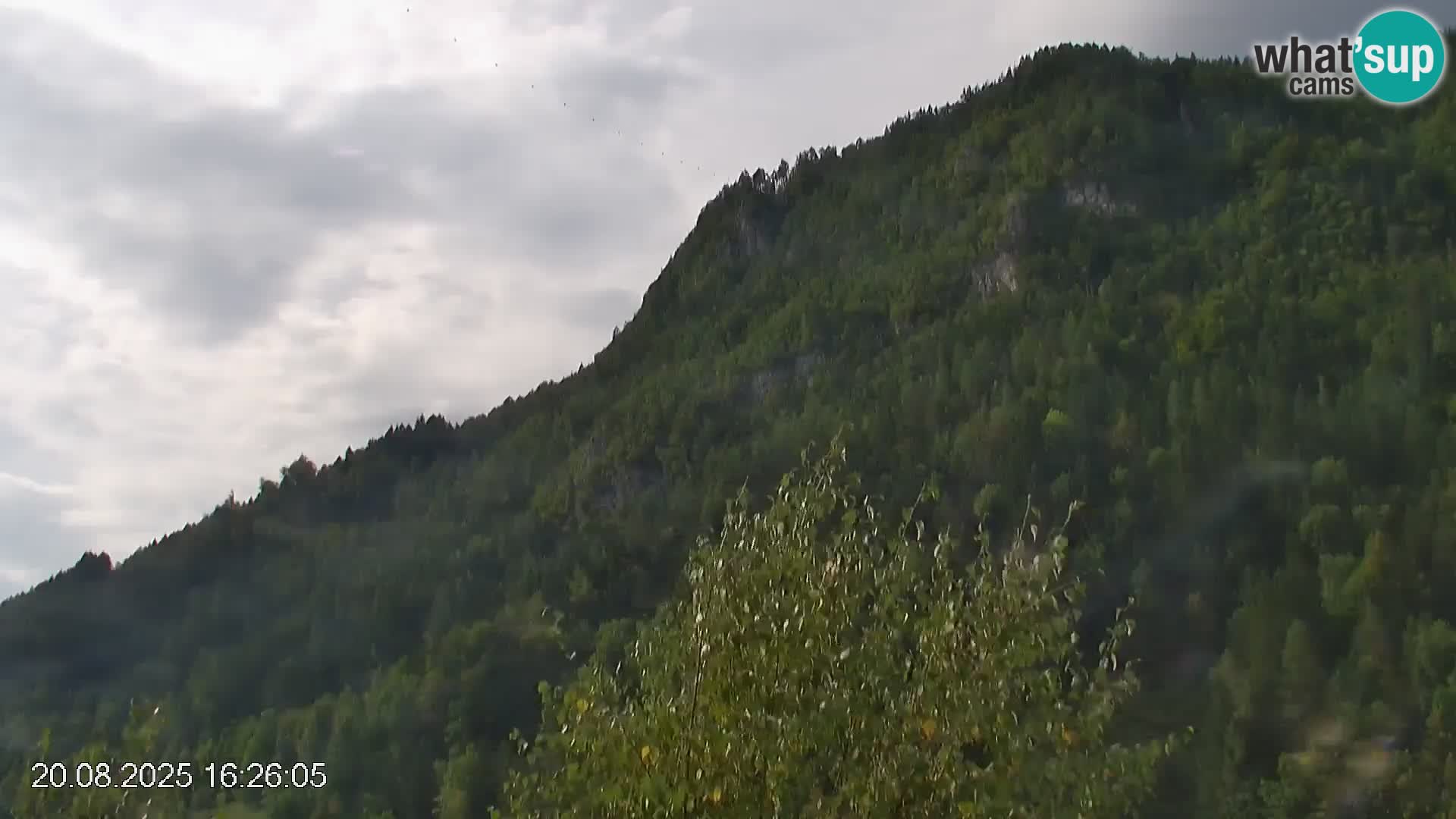 Črna na Koroškem ski slope | Koroška | Slovenia