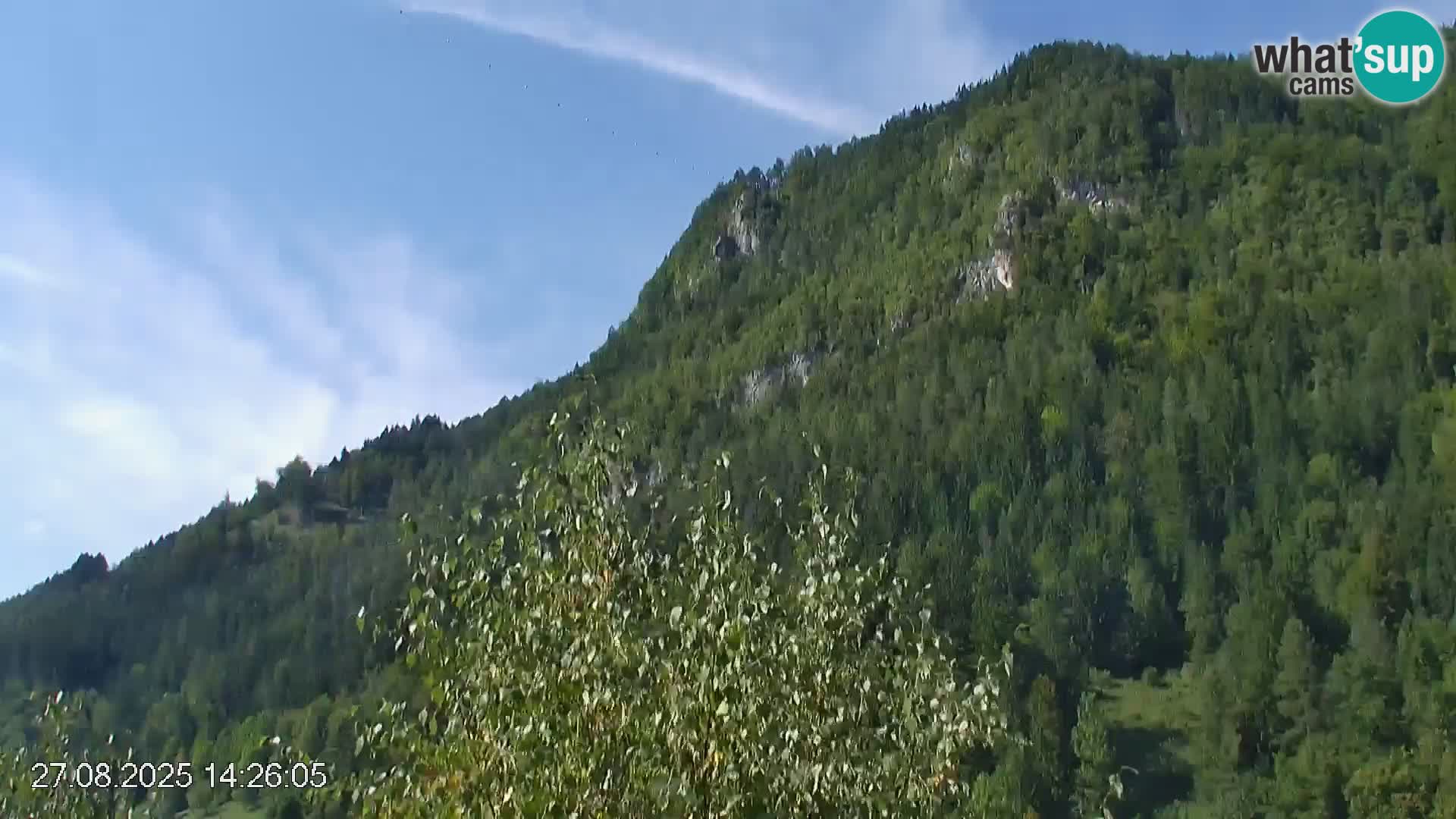 Pista de esquí de Črna na Koroška | Carintia | Eslovenia