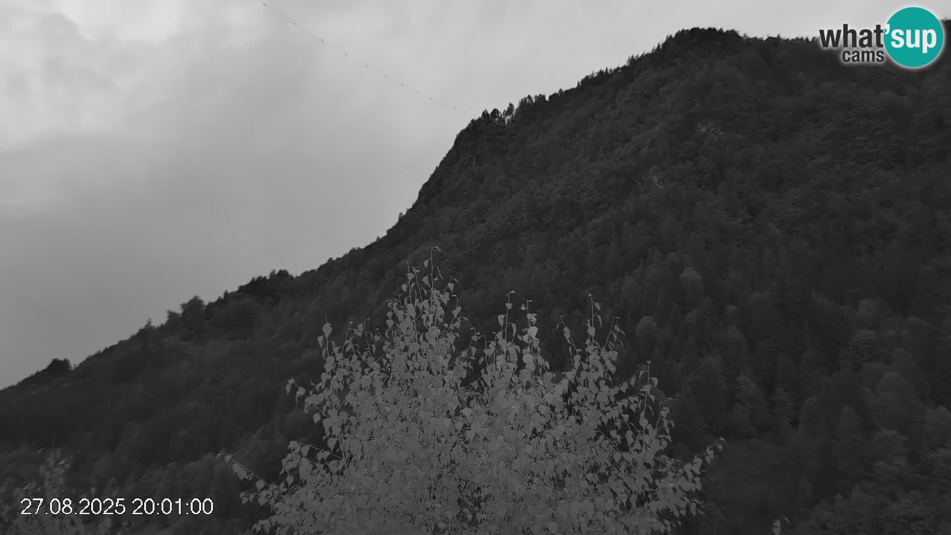 Stazione sciistica Črna na Koroškem | Carinzia | Slovenia
