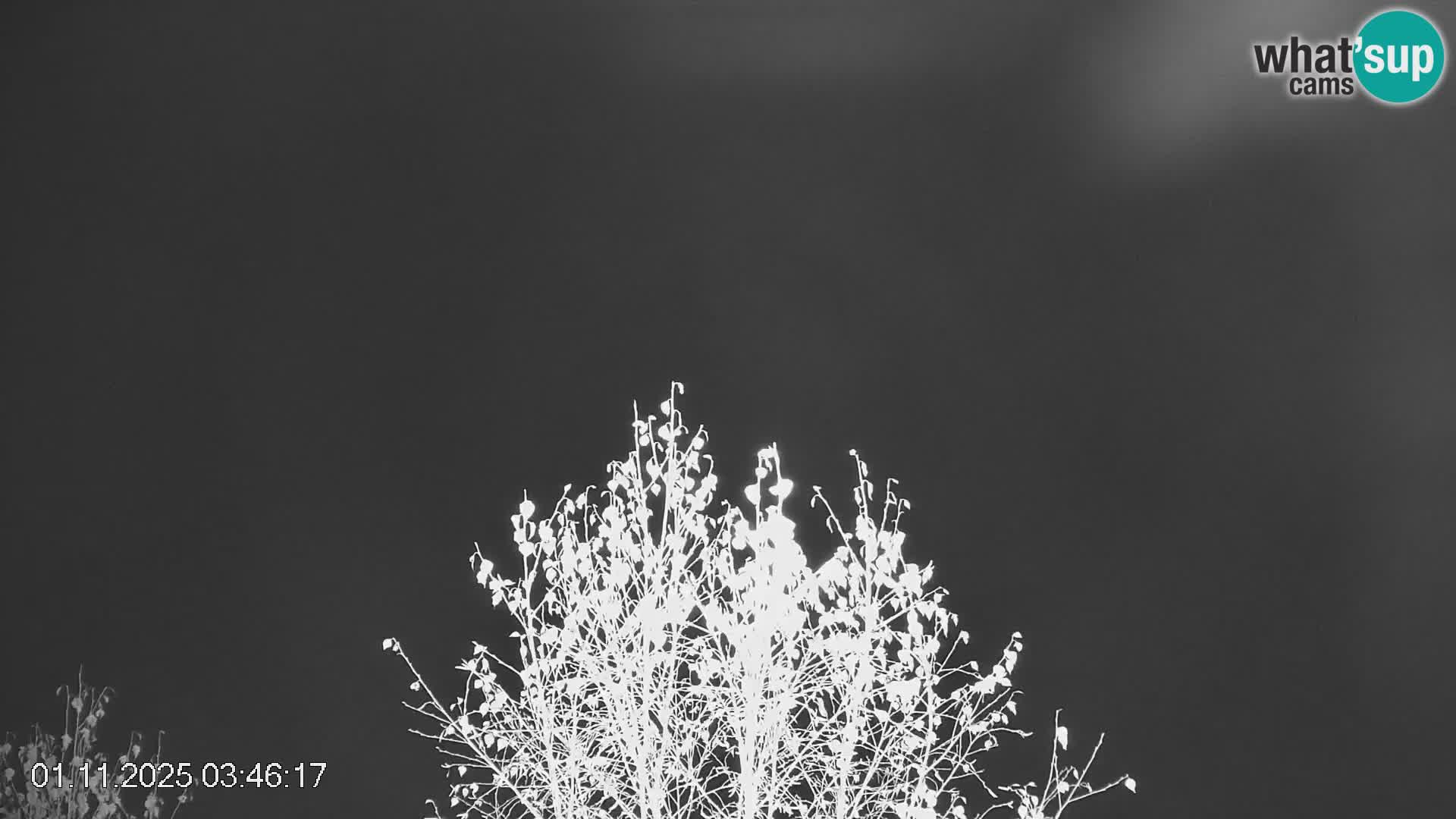 Smučišče Črna na Koroškem | Koroška | Slovenija