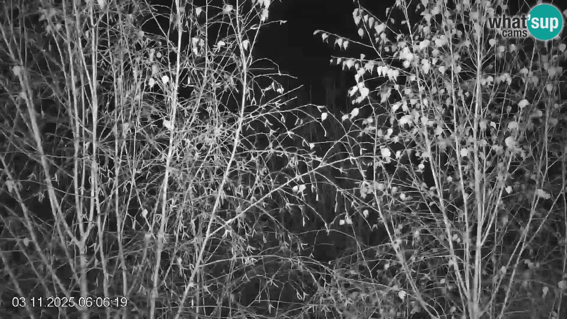 Smučišče Črna na Koroškem | Koroška | Slovenija