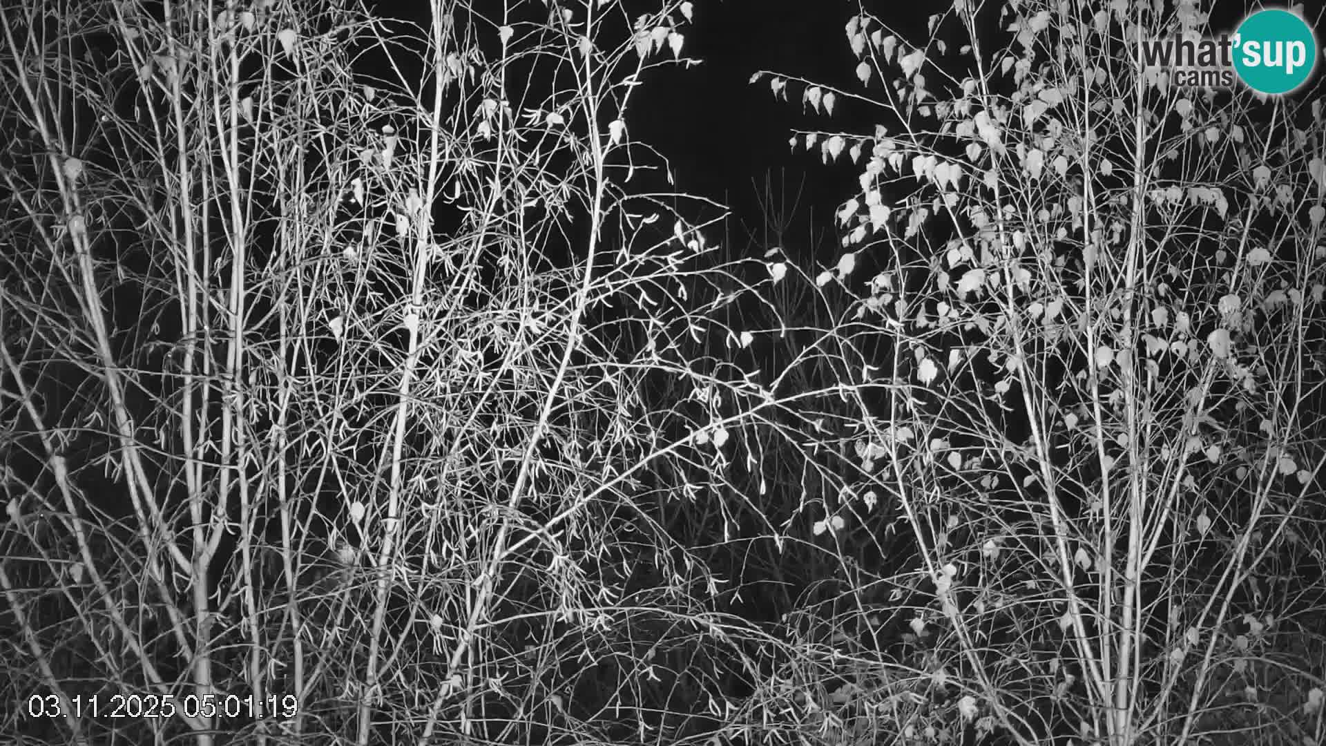 Pista de esquí de Črna na Koroška | Carintia | Eslovenia