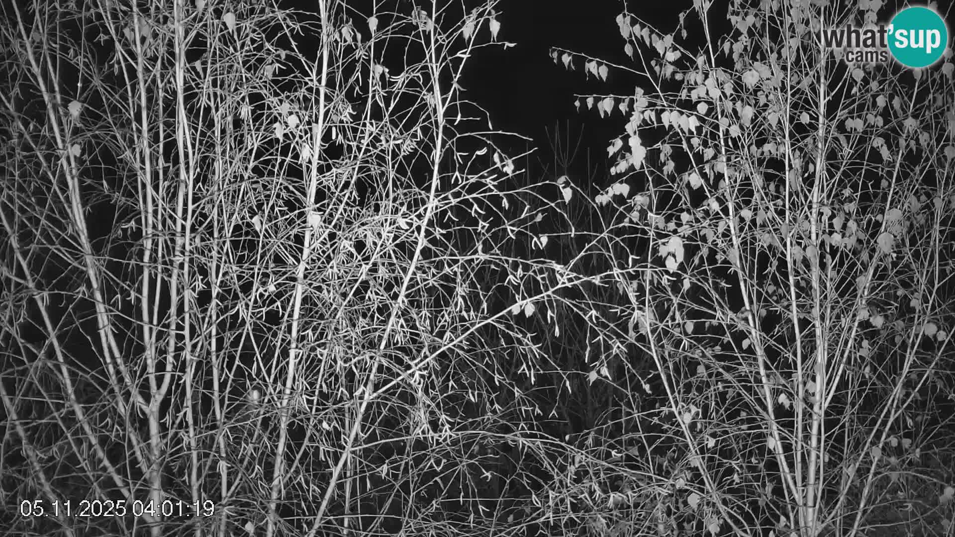 Skipiste Črna na Koroška | Kärnten | Slowenien