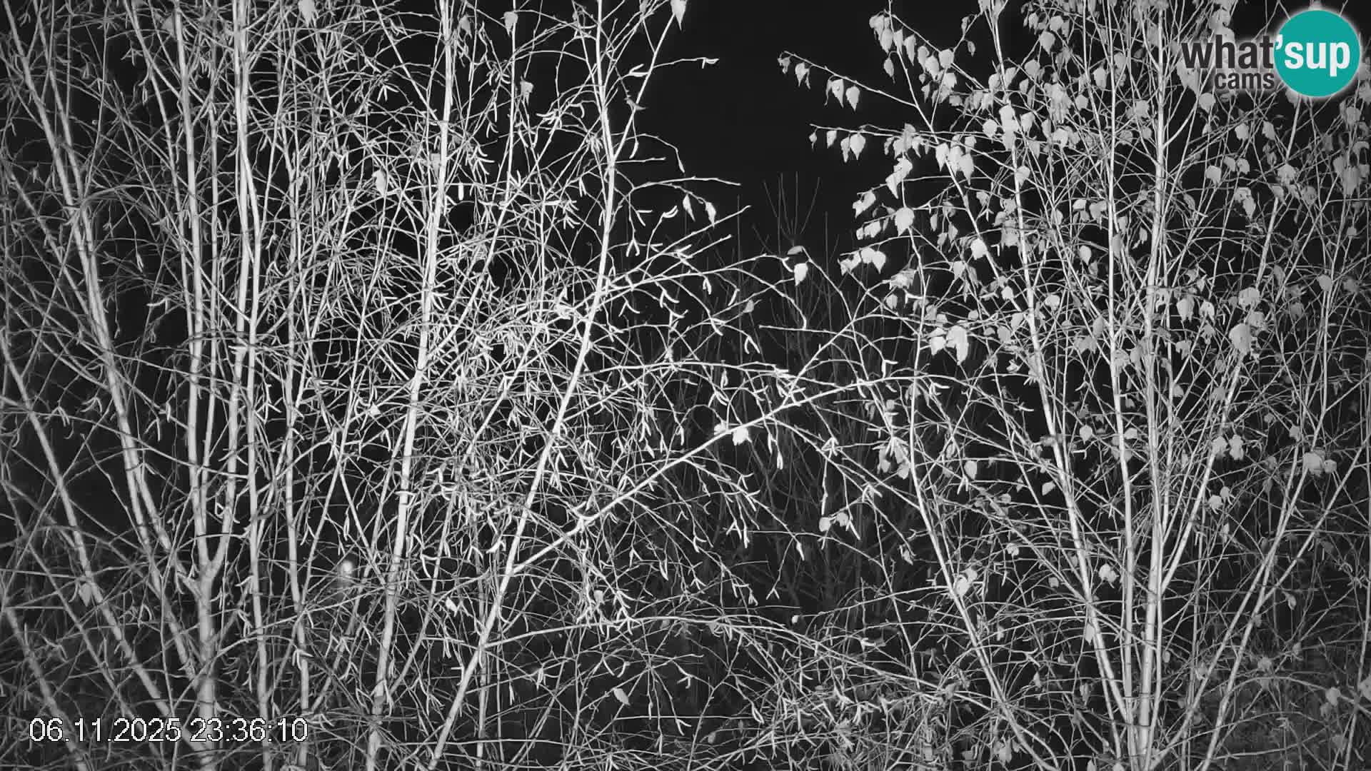 Skipiste Črna na Koroška | Kärnten | Slowenien