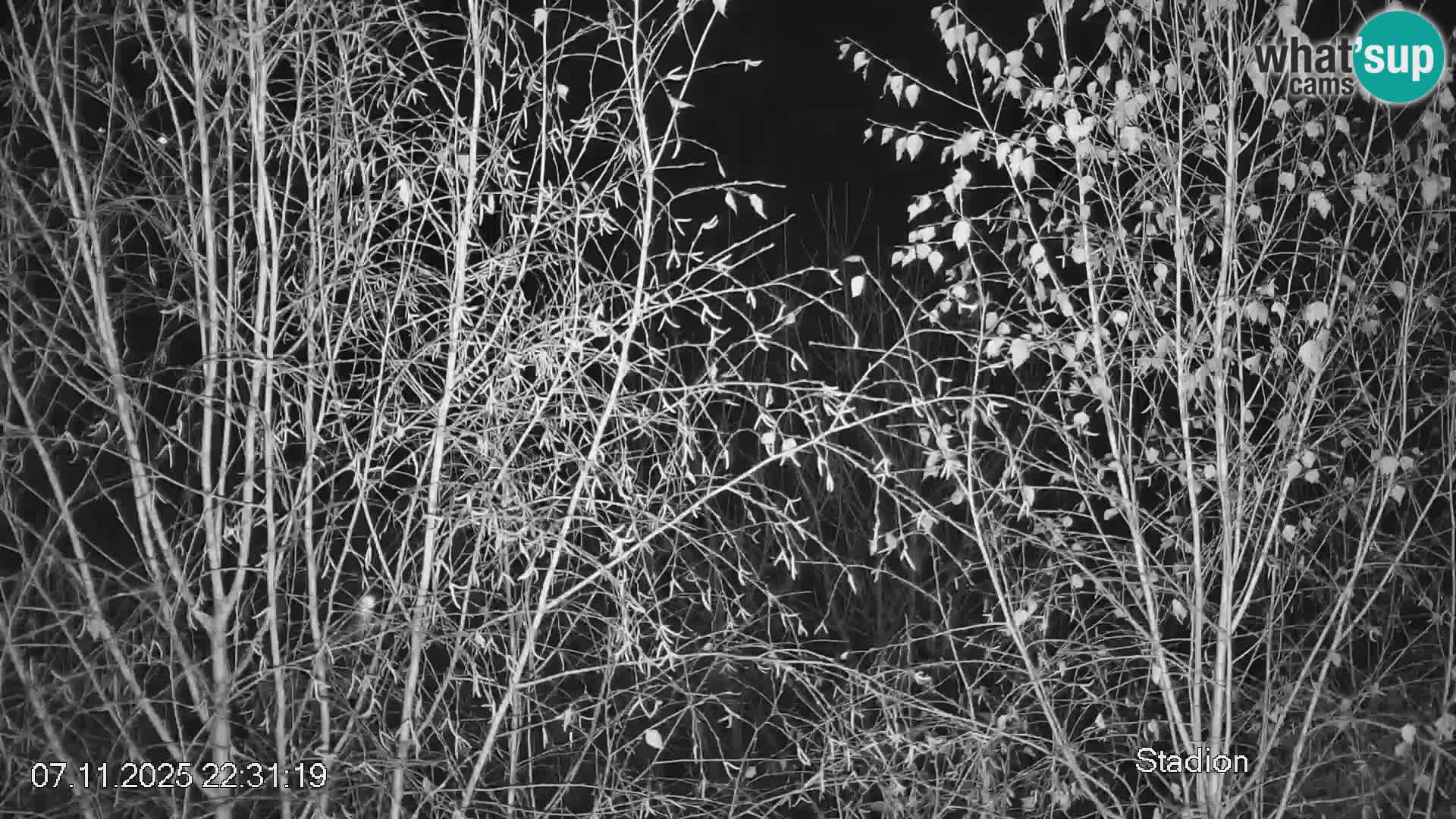 Stazione sciistica Črna na Koroškem | Carinzia | Slovenia