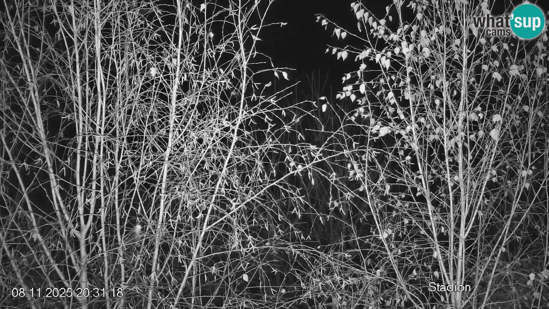 Pista de esquí de Črna na Koroška | Carintia | Eslovenia