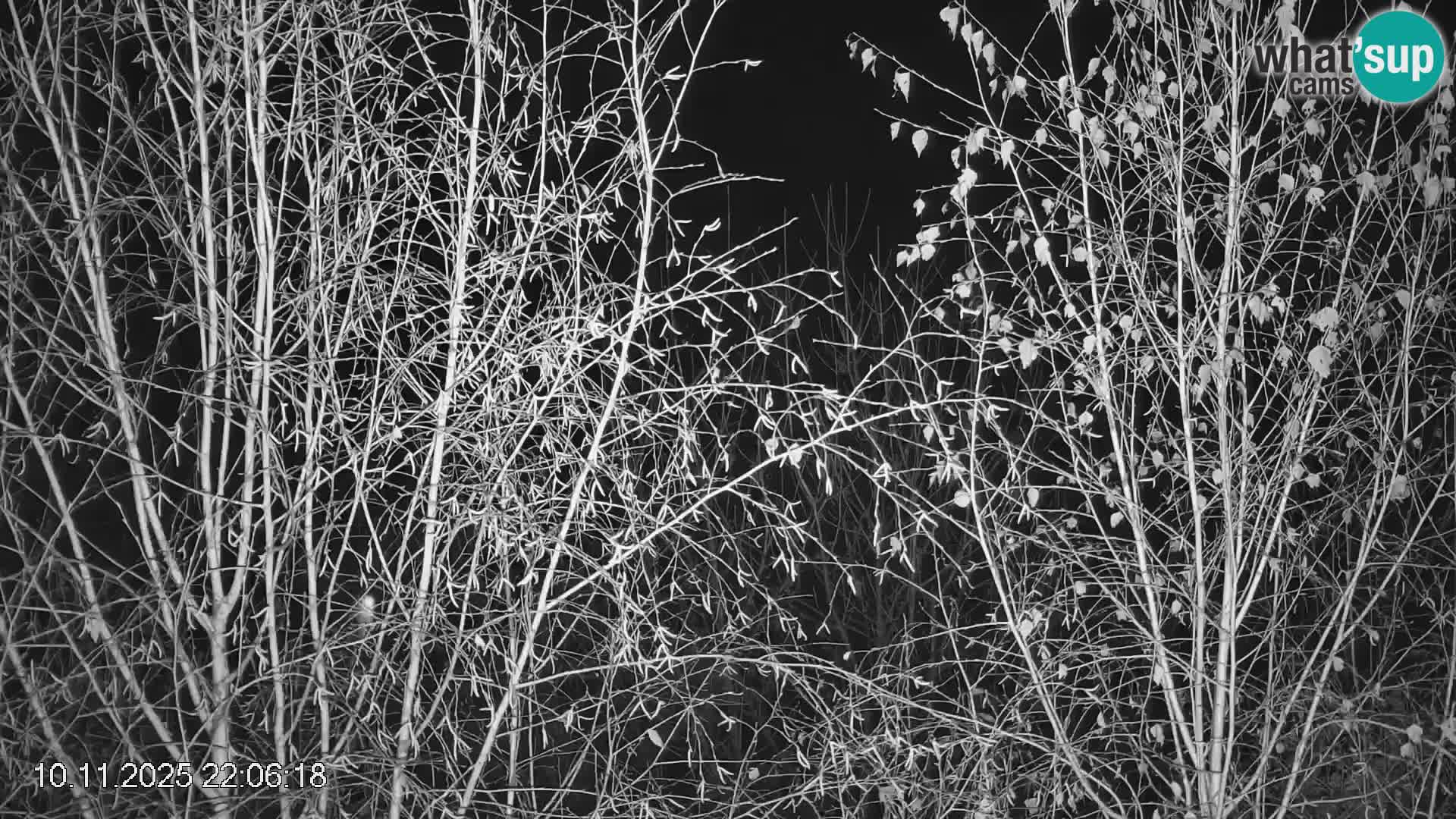 Smučišče Črna na Koroškem | Koroška | Slovenija