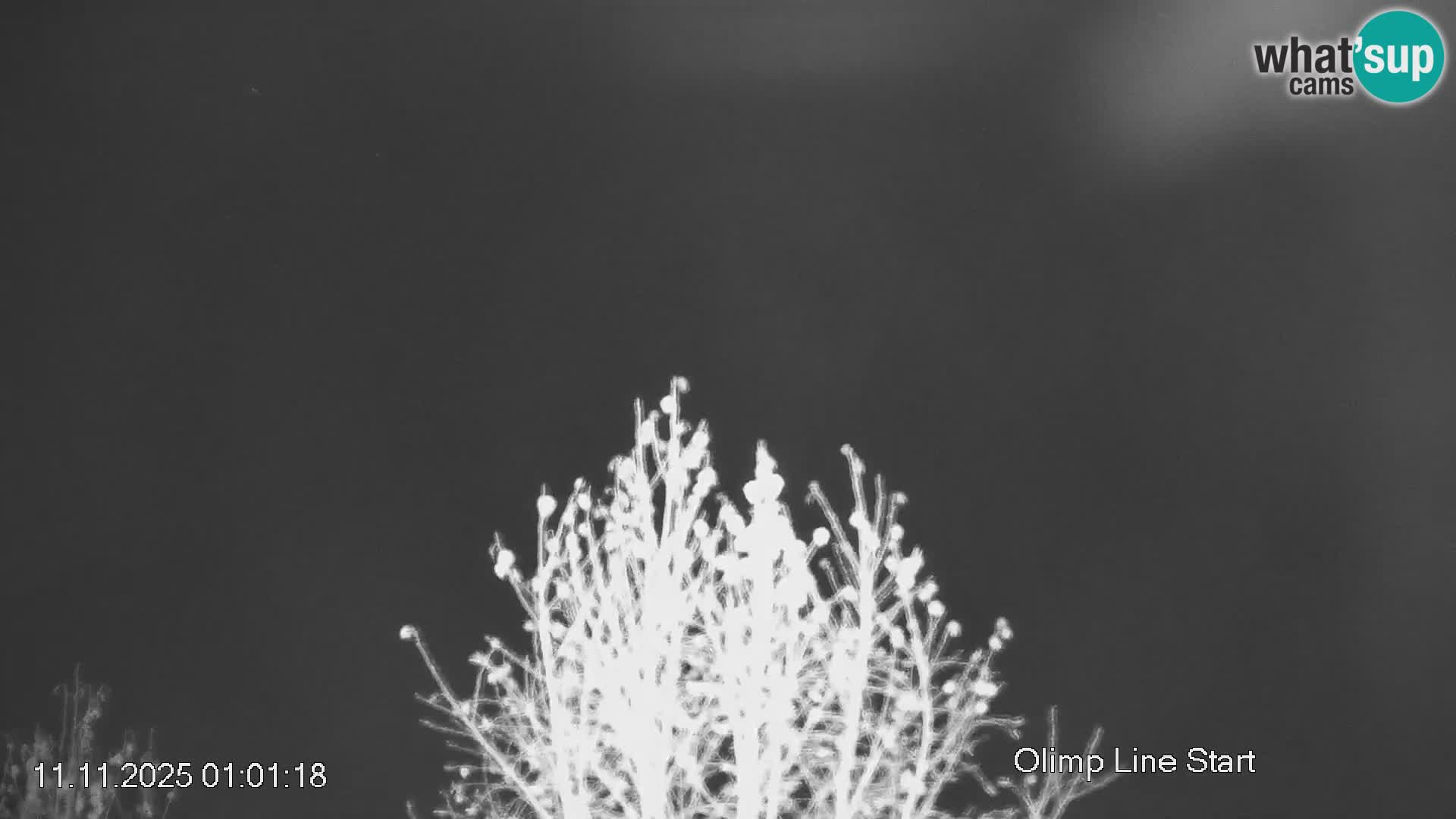 Piste de ski Črna na Koroška | Carinthie | Slovénie