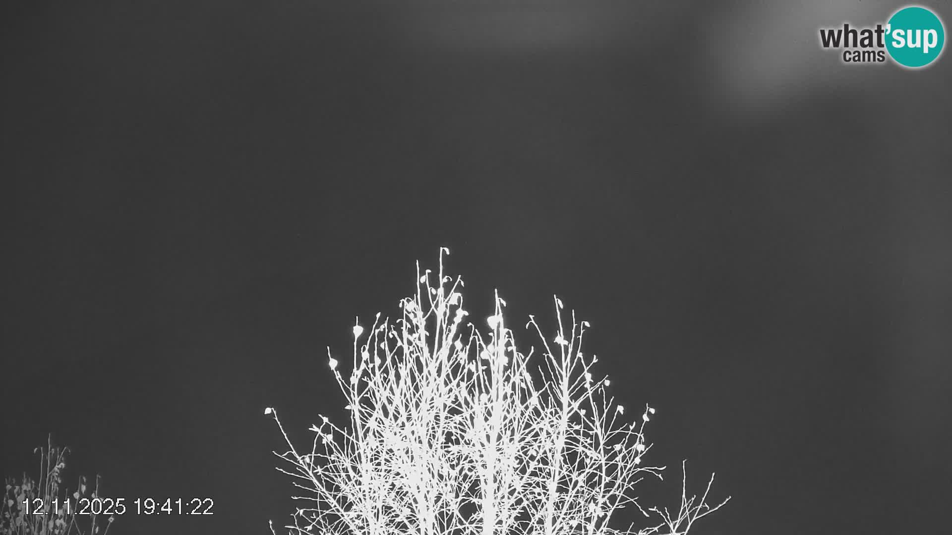 Črna na Koroškem ski slope | Koroška | Slovenia