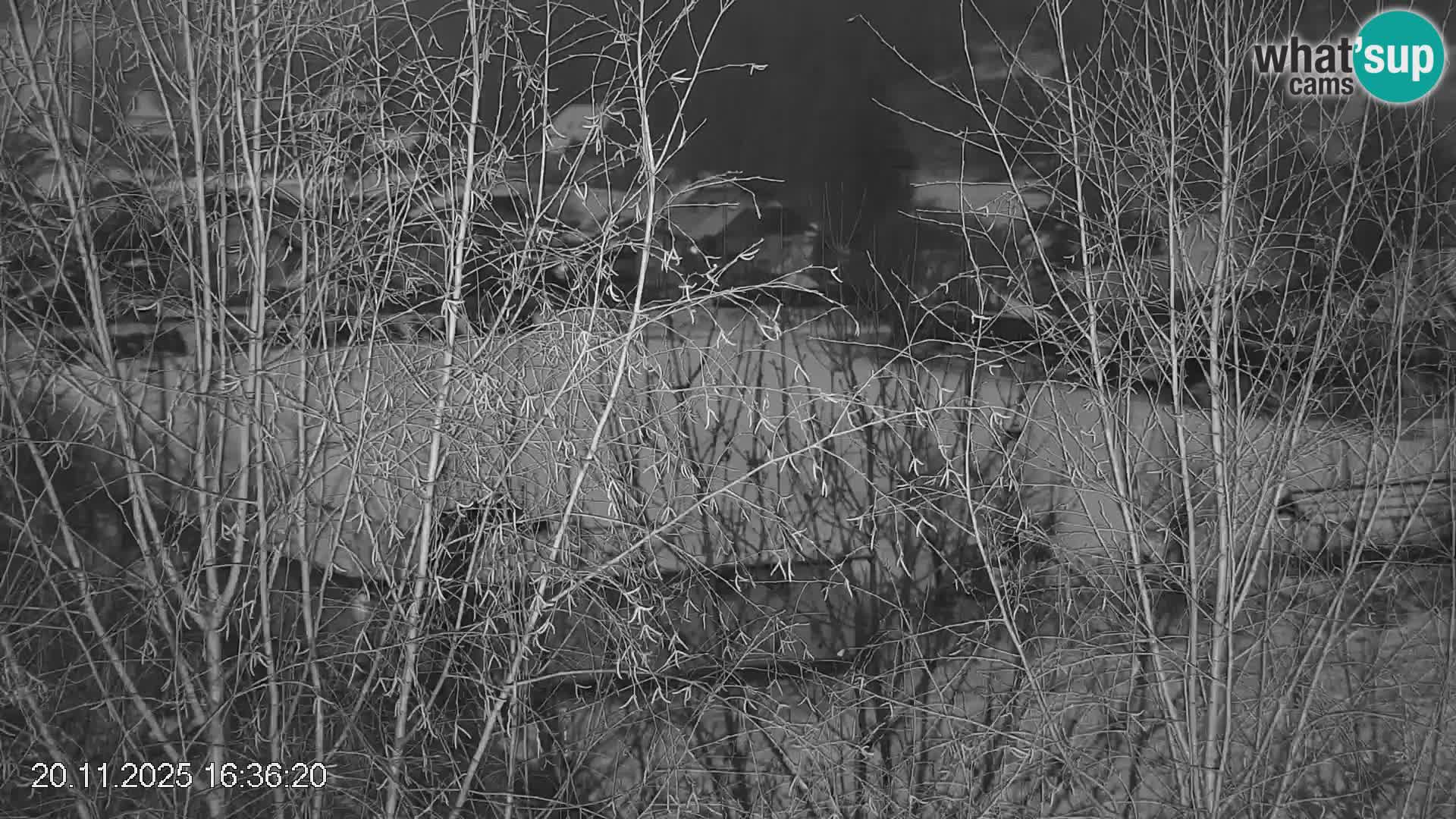 Skipiste Črna na Koroška | Kärnten | Slowenien