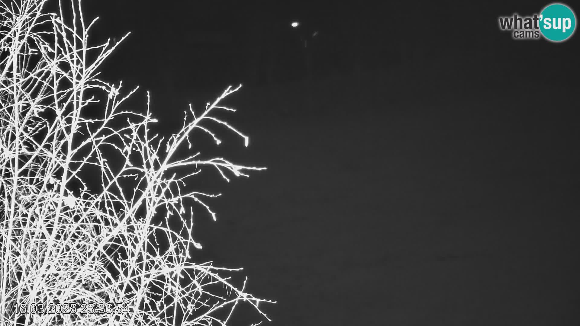 Stazione sciistica Črna na Koroškem | Carinzia | Slovenia