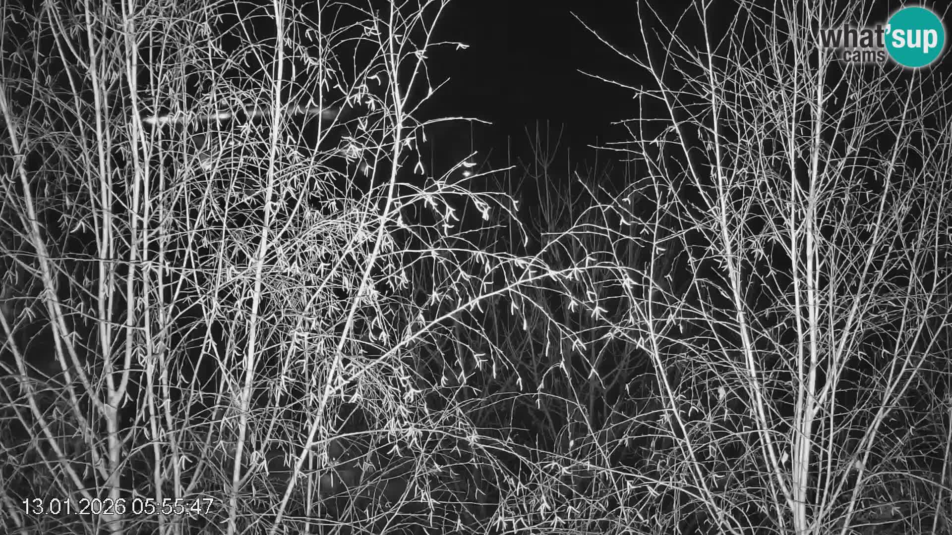 Skijalište Črna na Koroškoj | Koruška | Slovenija