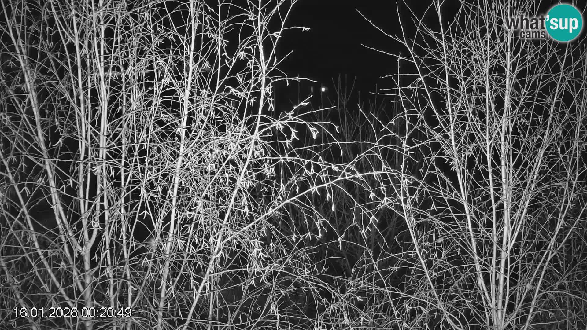 Smučišče Črna na Koroškem | Koroška | Slovenija