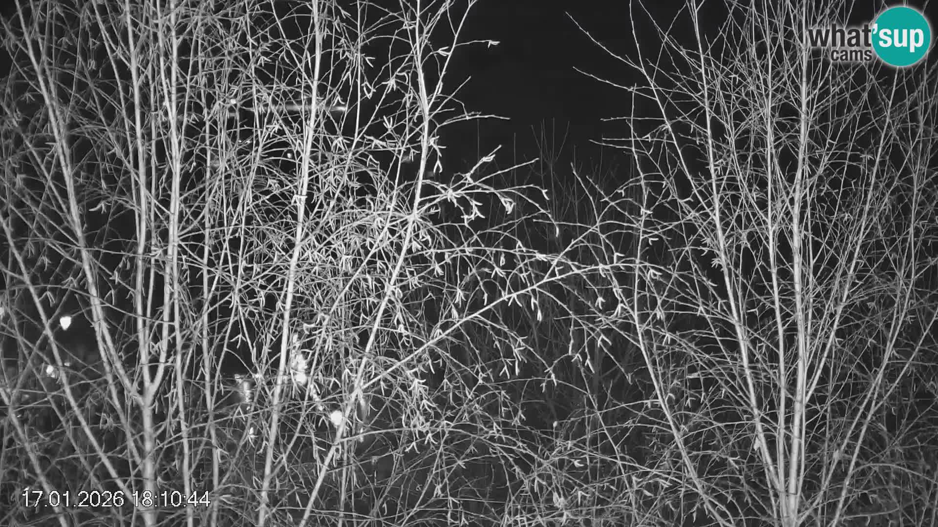 Skipiste Črna na Koroška | Kärnten | Slowenien