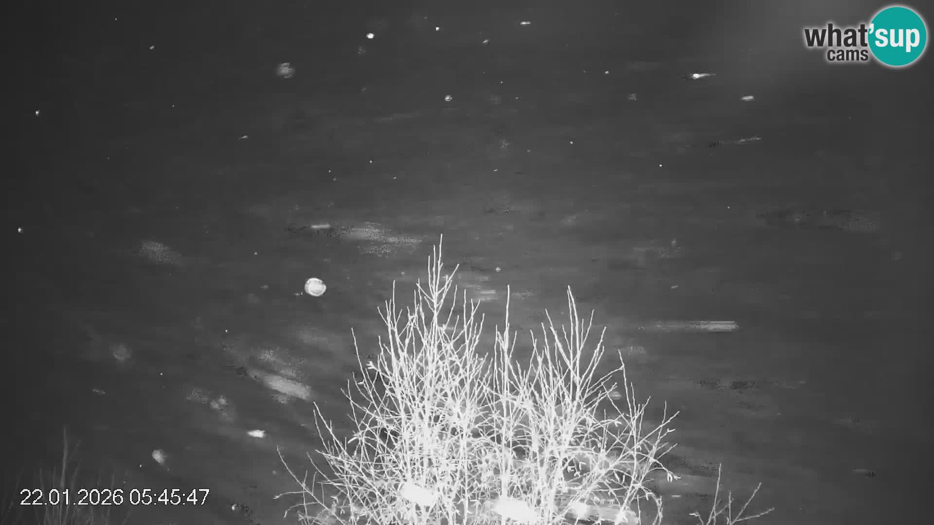 Stazione sciistica Črna na Koroškem | Carinzia | Slovenia