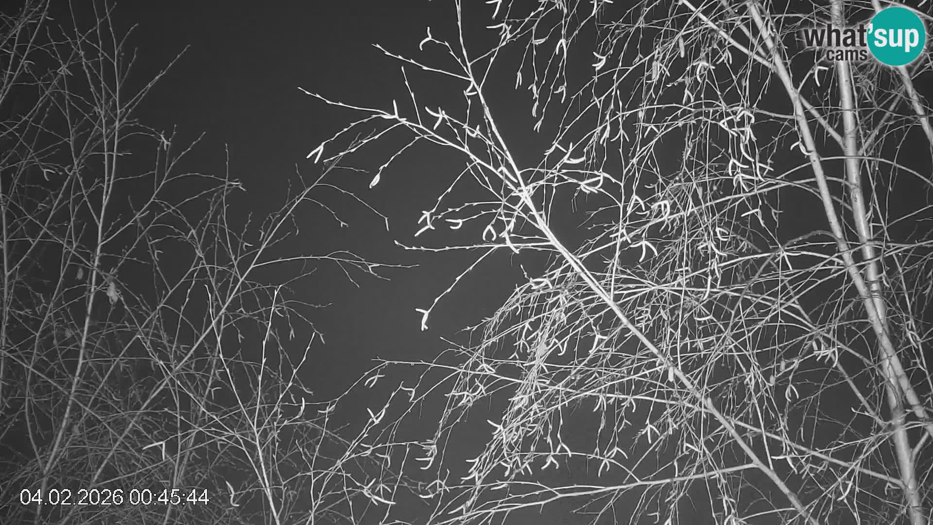 Piste de ski Črna na Koroška | Carinthie | Slovénie