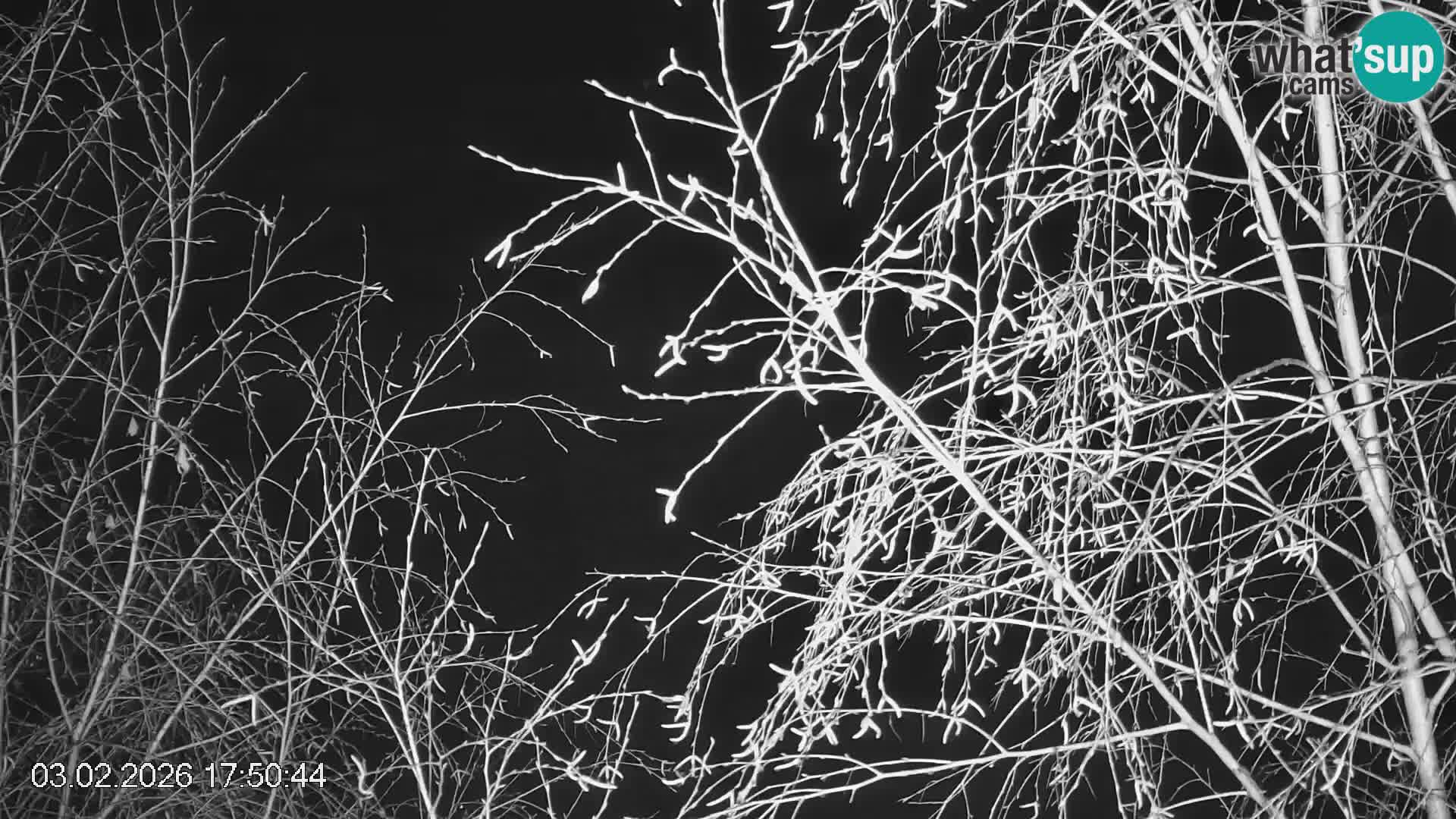 Skipiste Črna na Koroška | Kärnten | Slowenien