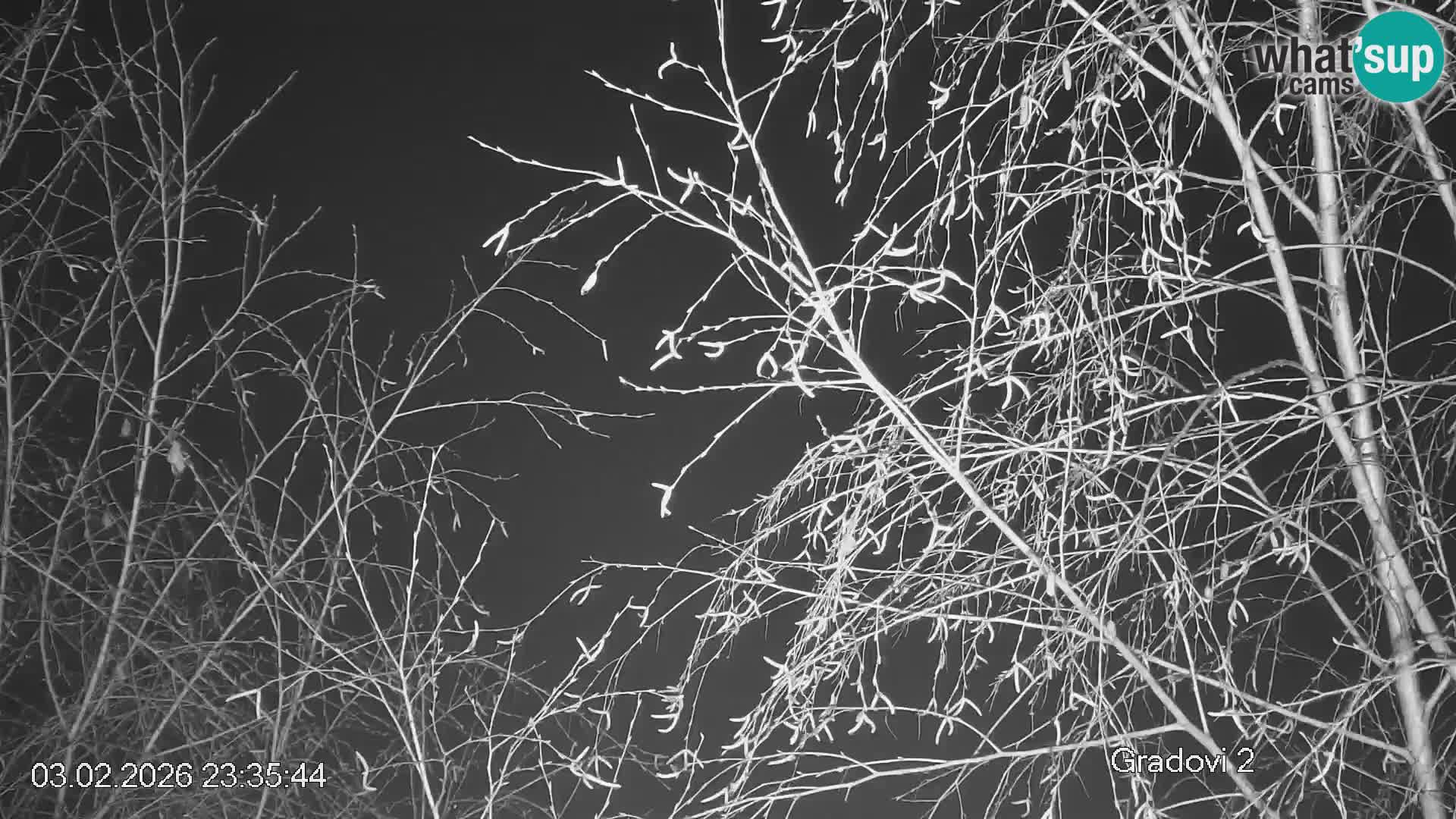 Piste de ski Črna na Koroška | Carinthie | Slovénie