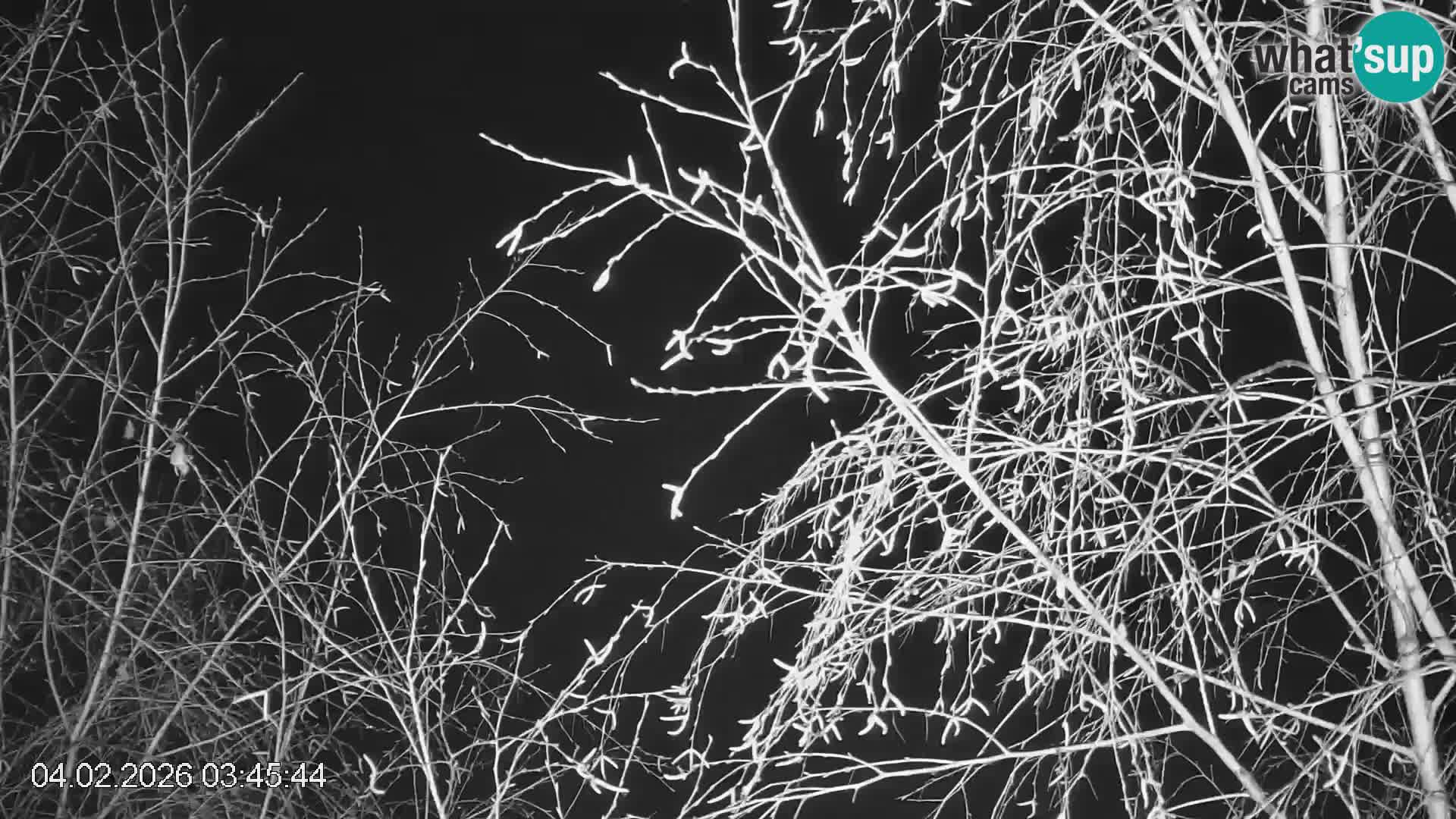 Skipiste Črna na Koroška | Kärnten | Slowenien