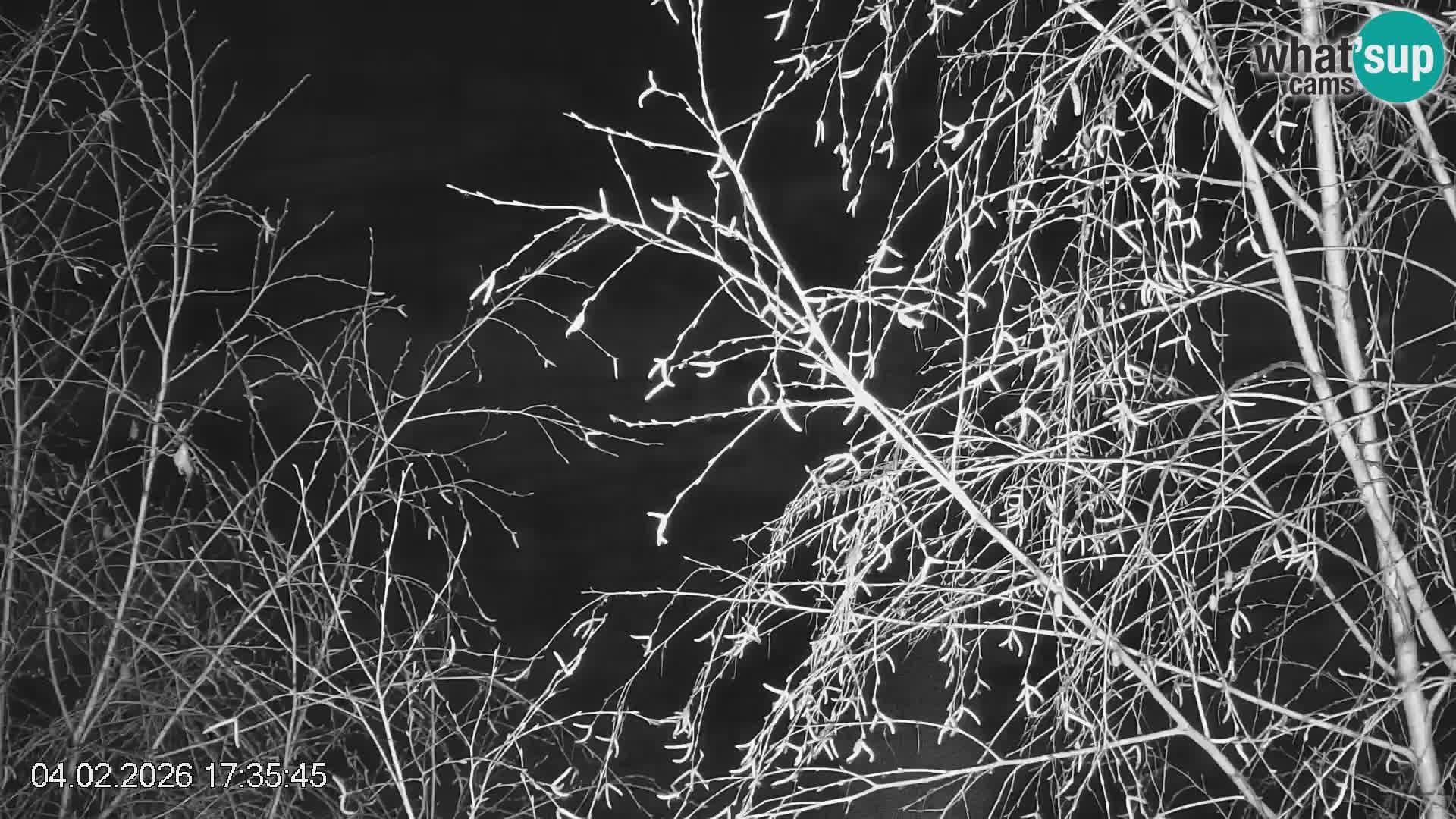 Pista de esquí de Črna na Koroška | Carintia | Eslovenia