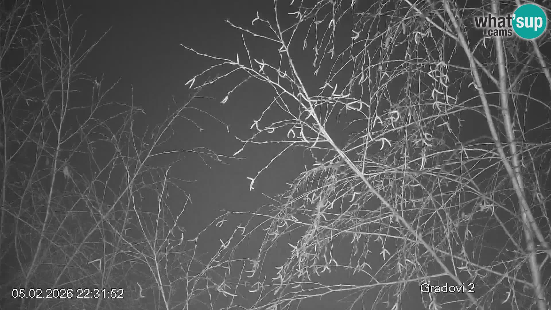 Črna na Koroškem ski slope | Koroška | Slovenia