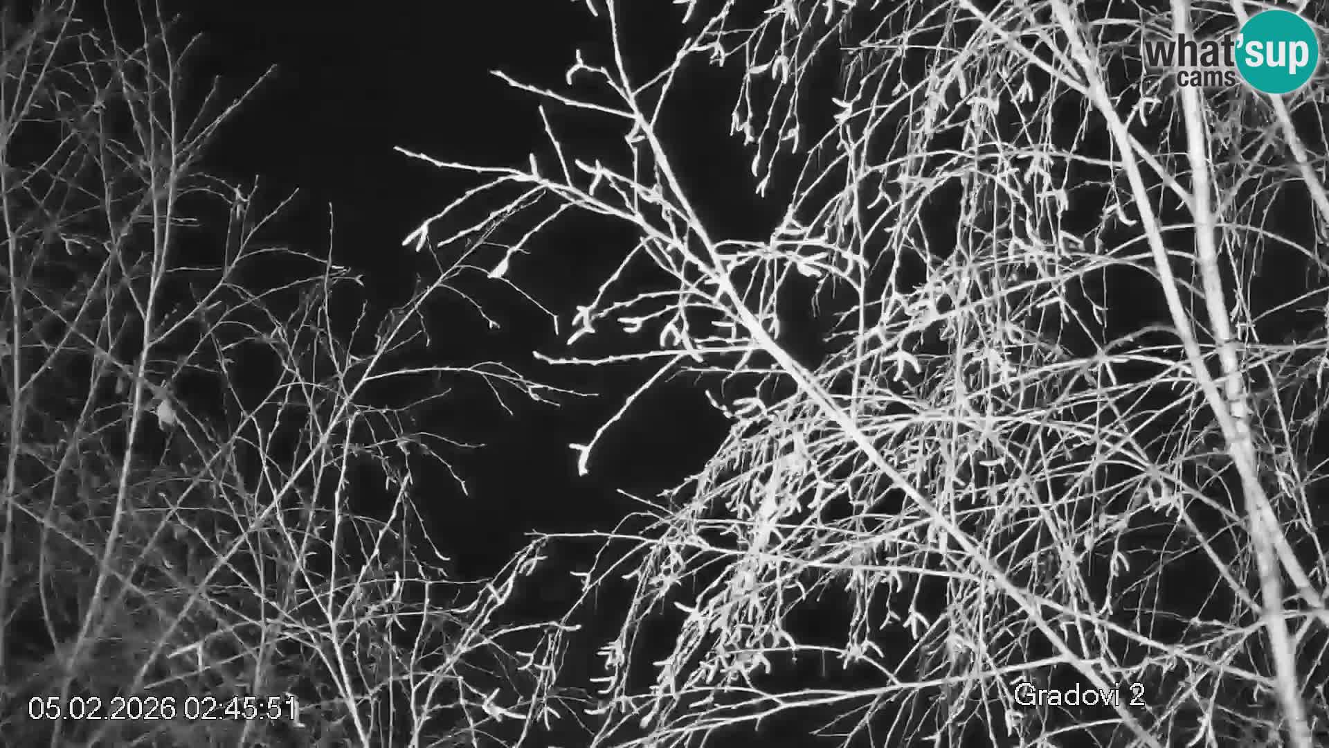 Skipiste Črna na Koroška | Kärnten | Slowenien