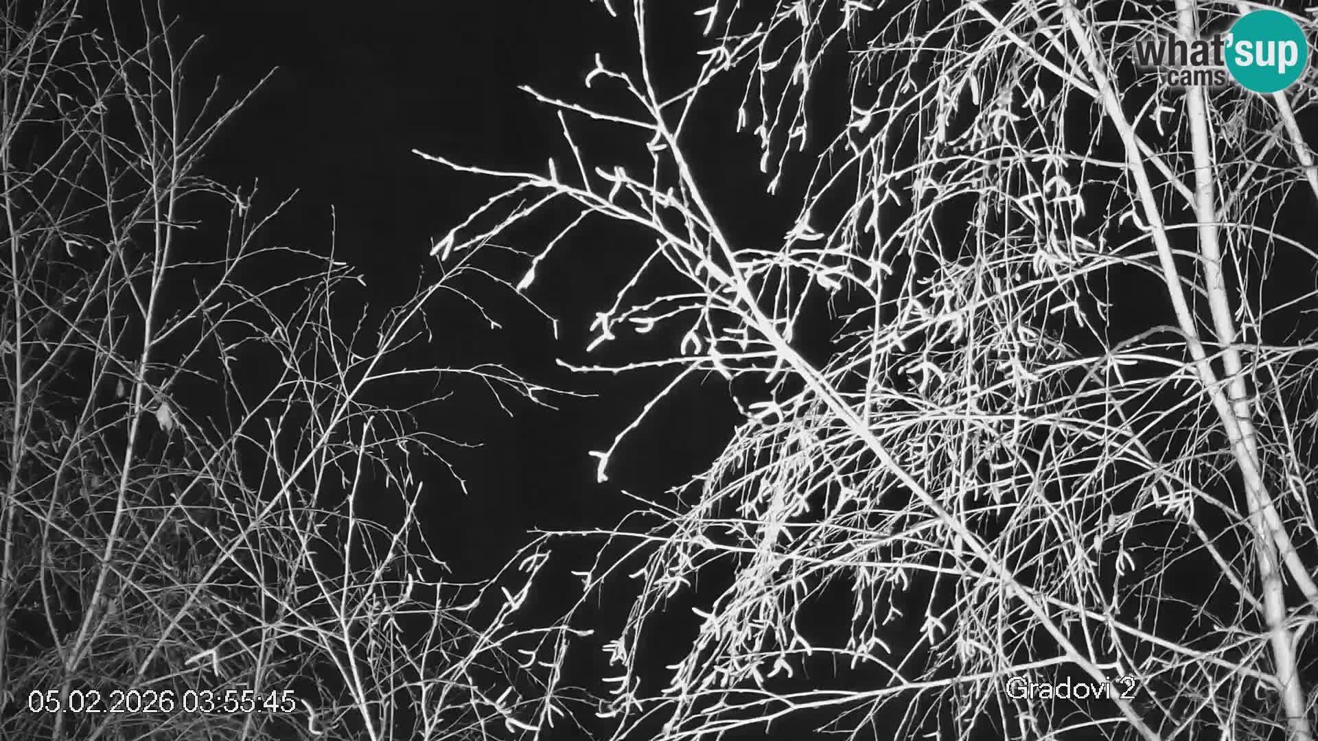 Piste de ski Črna na Koroška | Carinthie | Slovénie