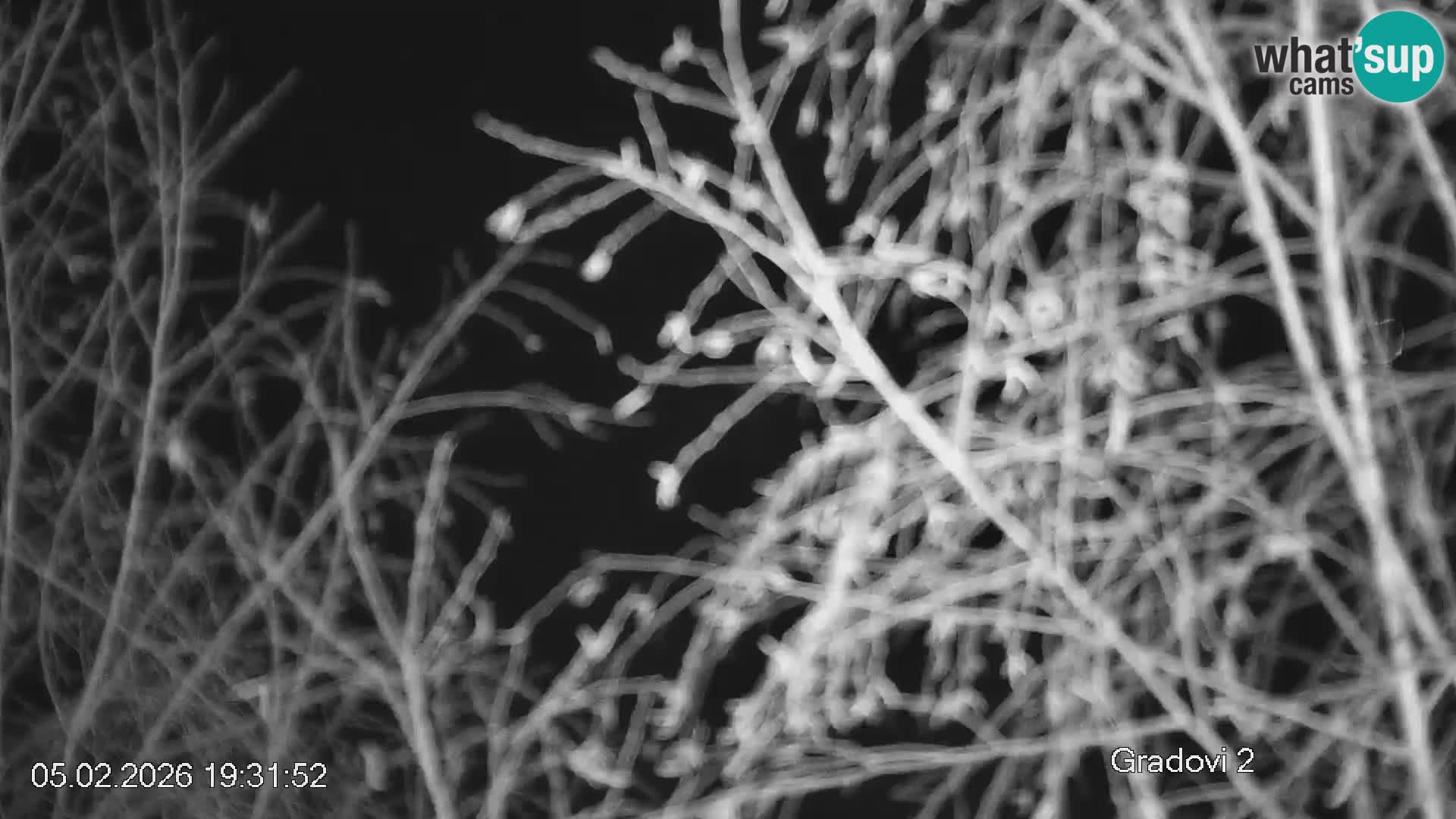 Stazione sciistica Črna na Koroškem | Carinzia | Slovenia