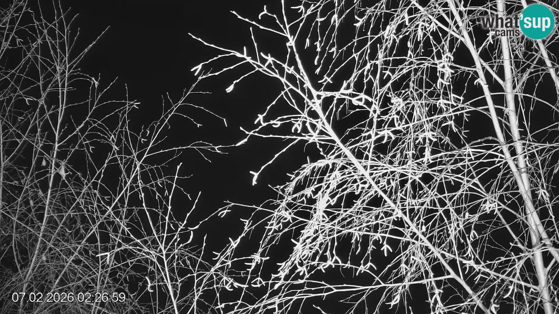 Skipiste Črna na Koroška | Kärnten | Slowenien