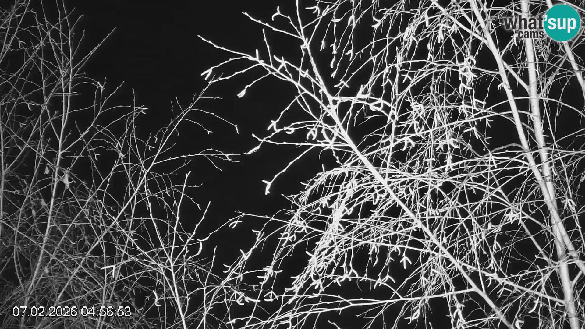 Piste de ski Črna na Koroška | Carinthie | Slovénie